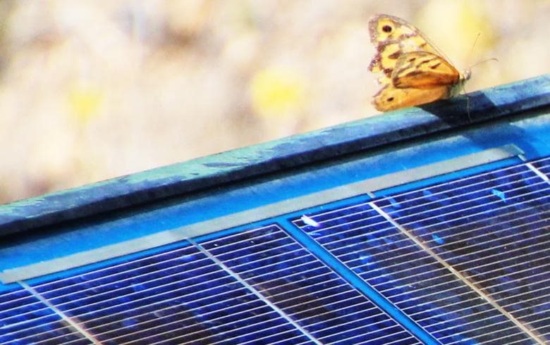 Vikram Solar commissions 200 MW PV plant in India