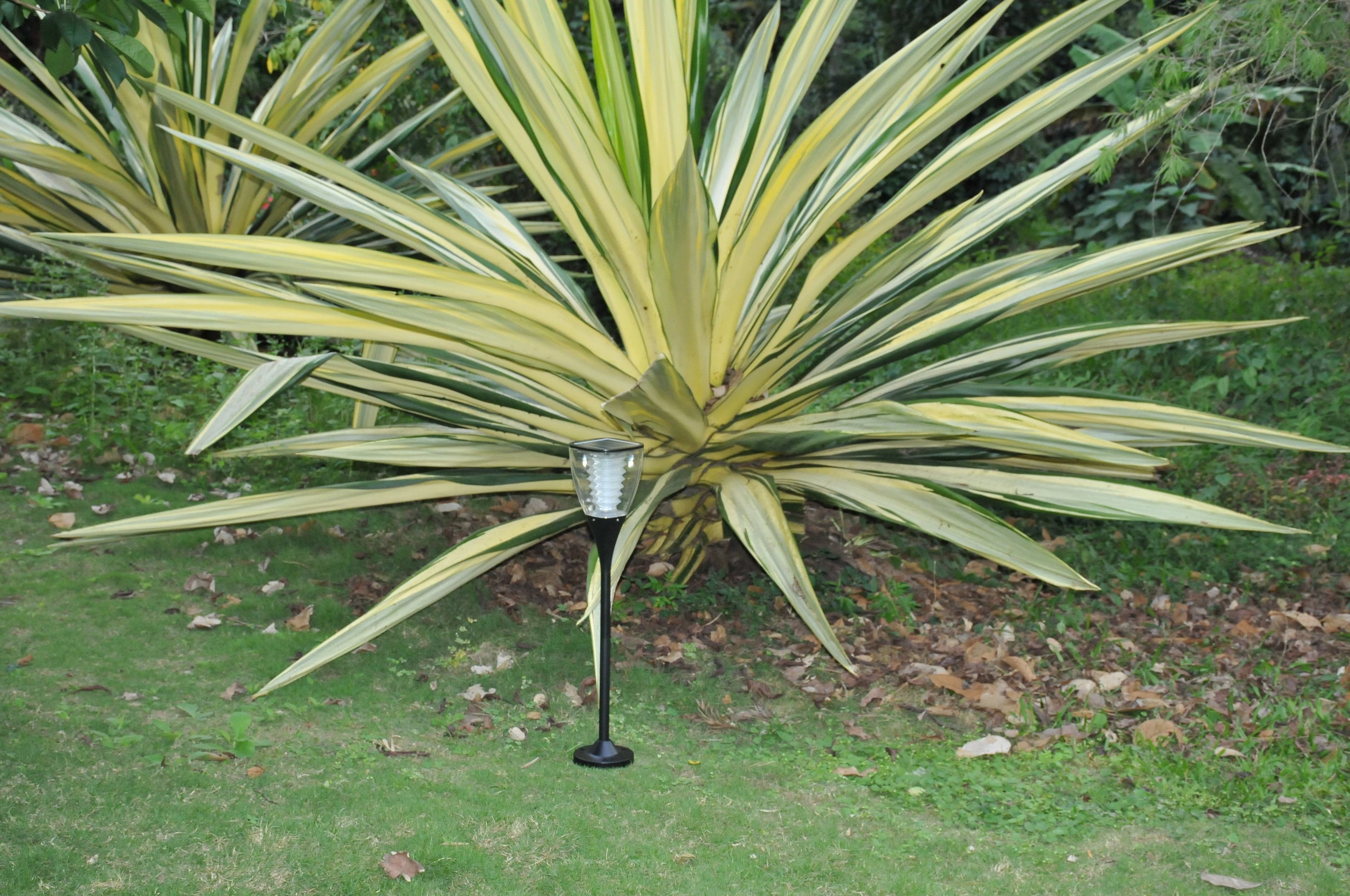 Solar Garden Light Warm White