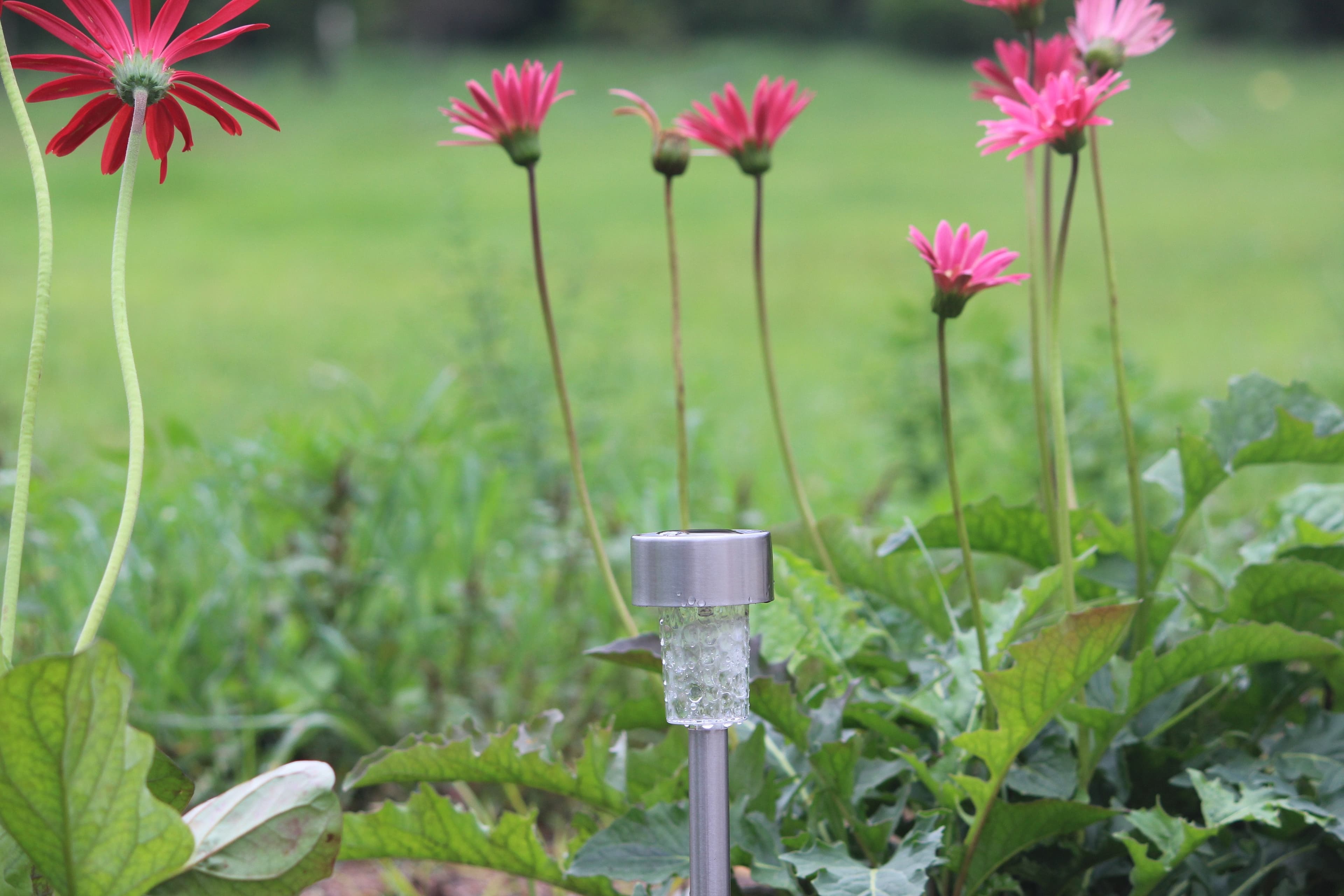 Solar Pathway Garden Light - TTSPGL2W (Pack Of 30)