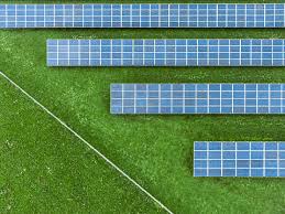 IIT Hyderabad develops low-cost, eco-friendly solar cells using 'kumkum dye'
