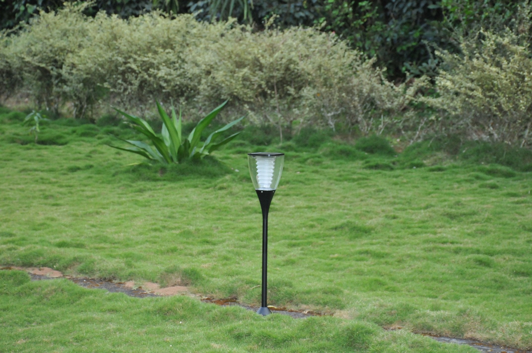 Solar Garden Lights