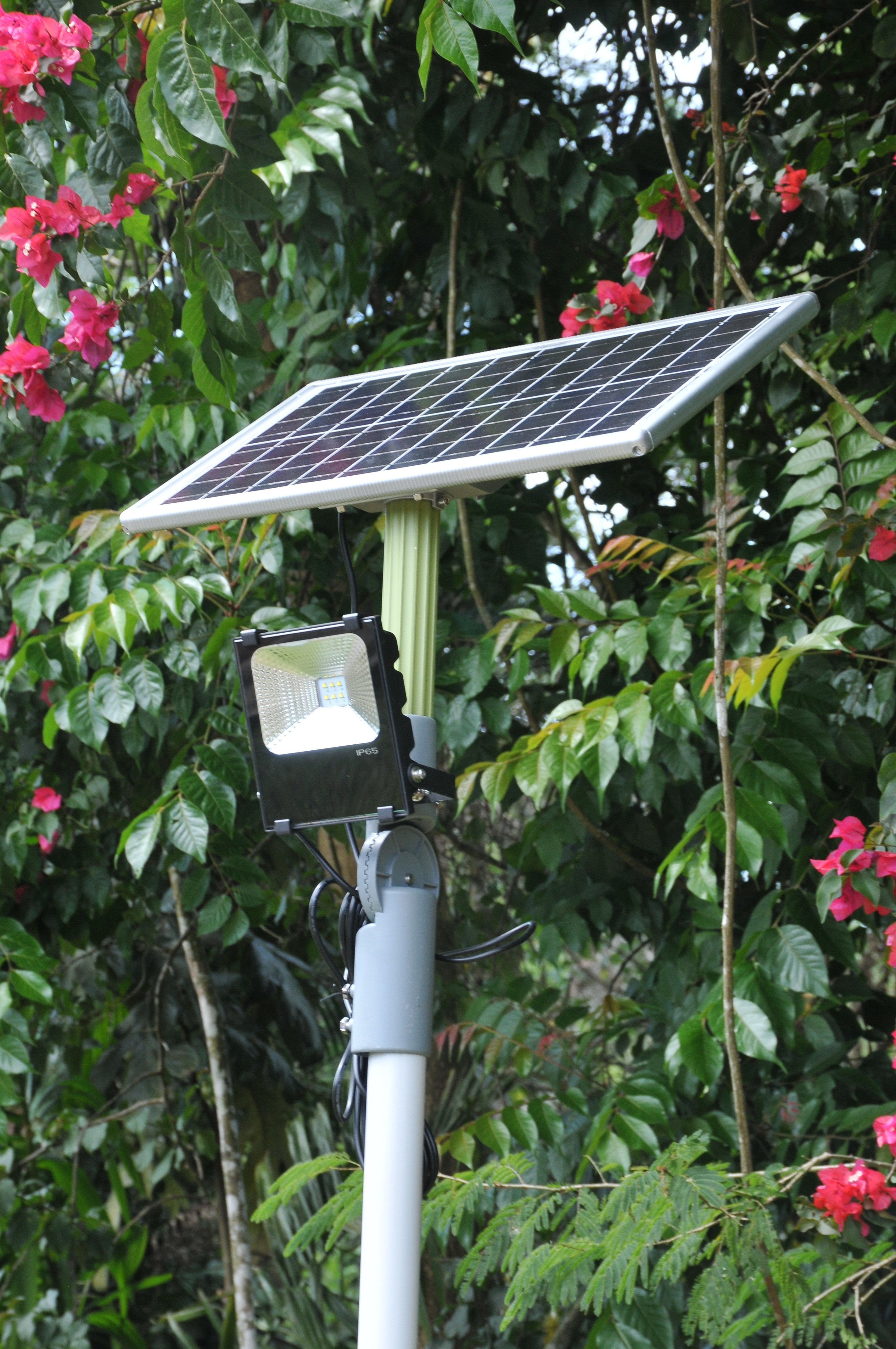 Solar Flood Light 20 Watt - TTSFL20W - tapetum.in