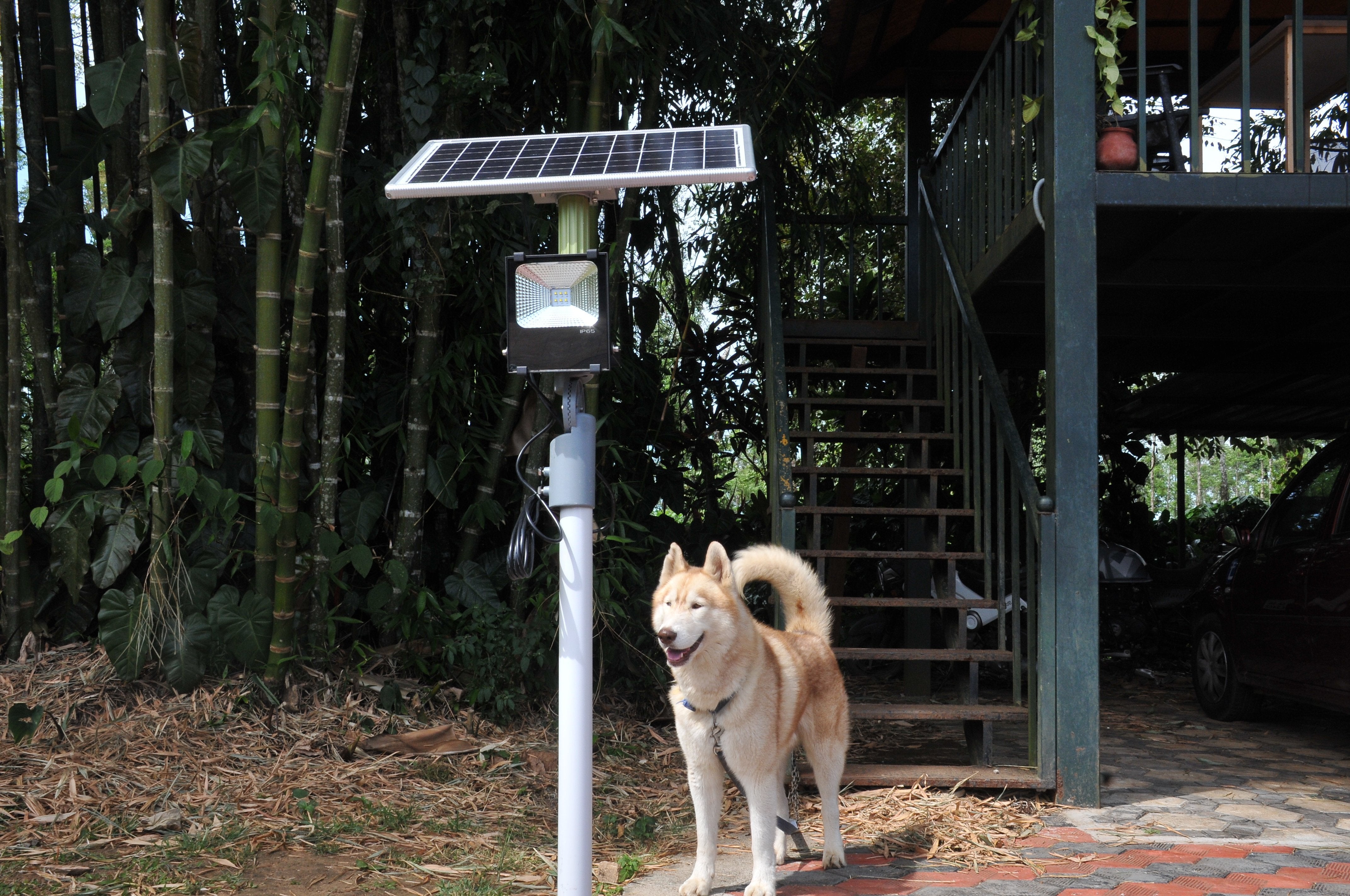 Solar Flood Light 20 Watt - TTSFL20W - tapetum.in