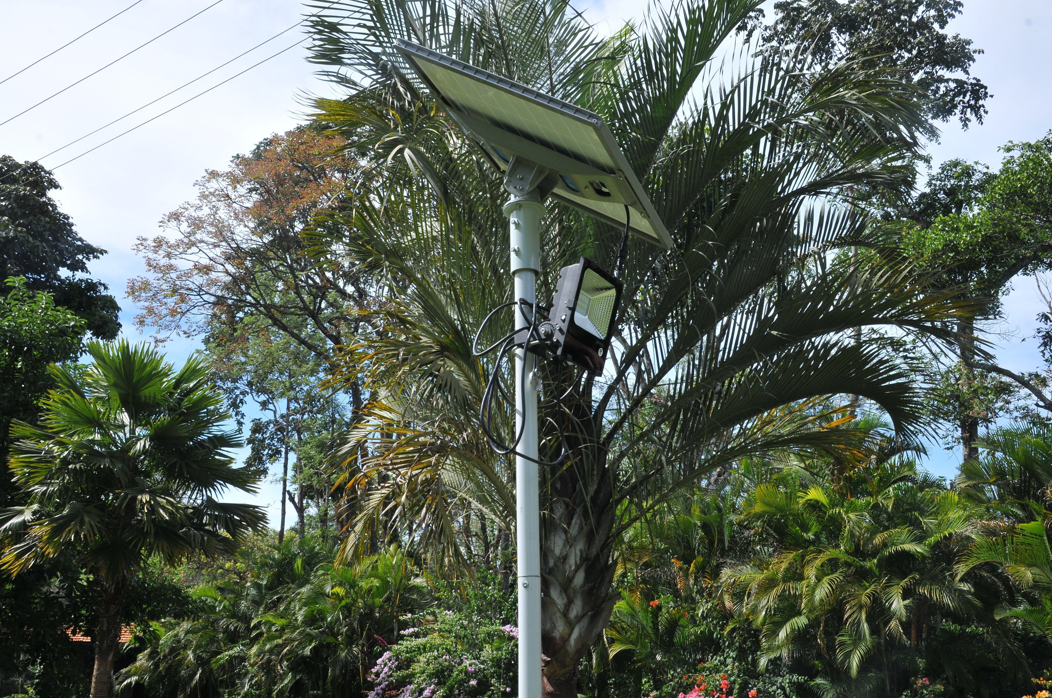 Solar Flood Light 50 Watt - TTSFL50W - tapetum.in