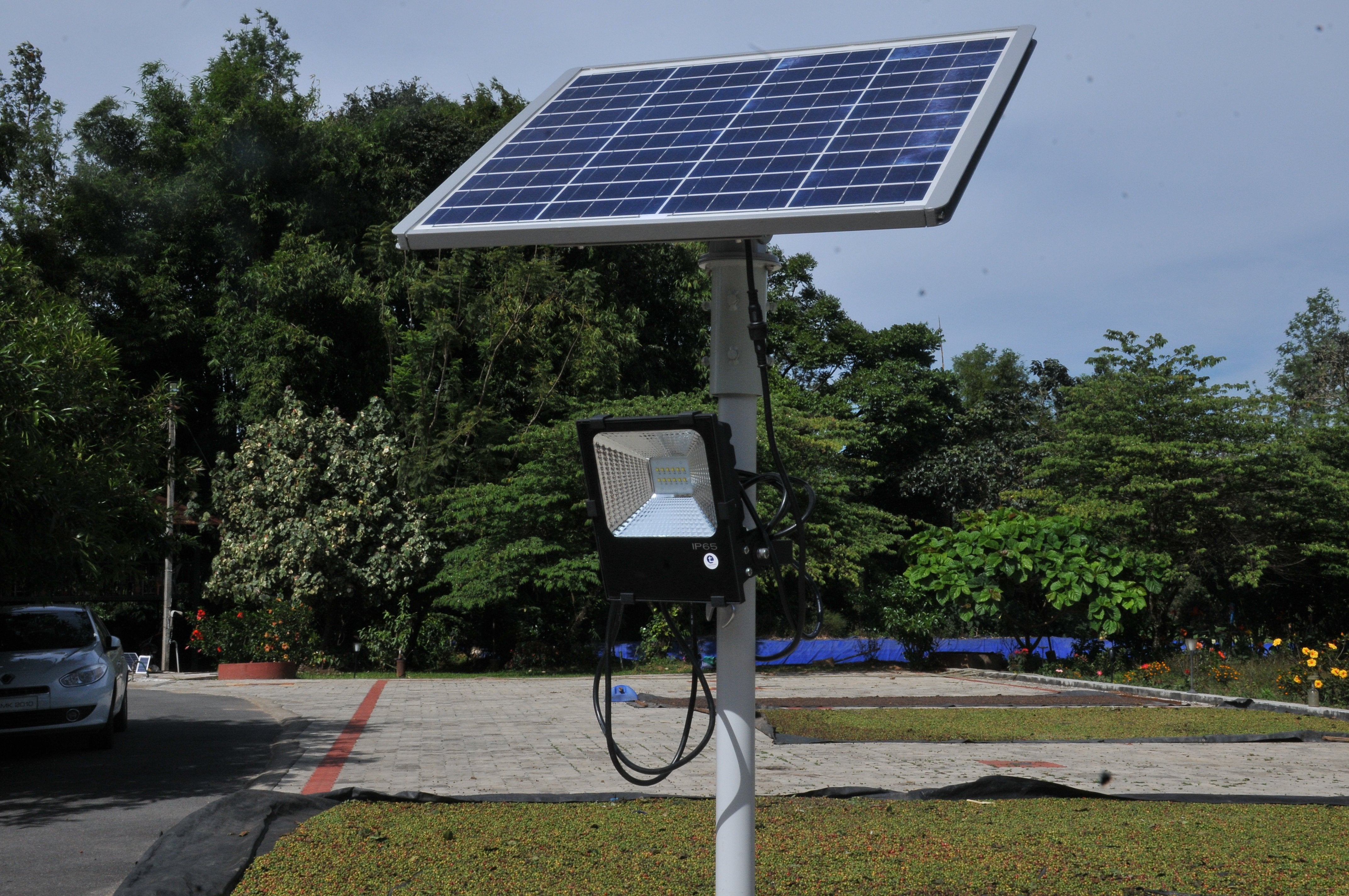 Solar Flood Light 50 Watt - TTSFL50W - tapetum.in