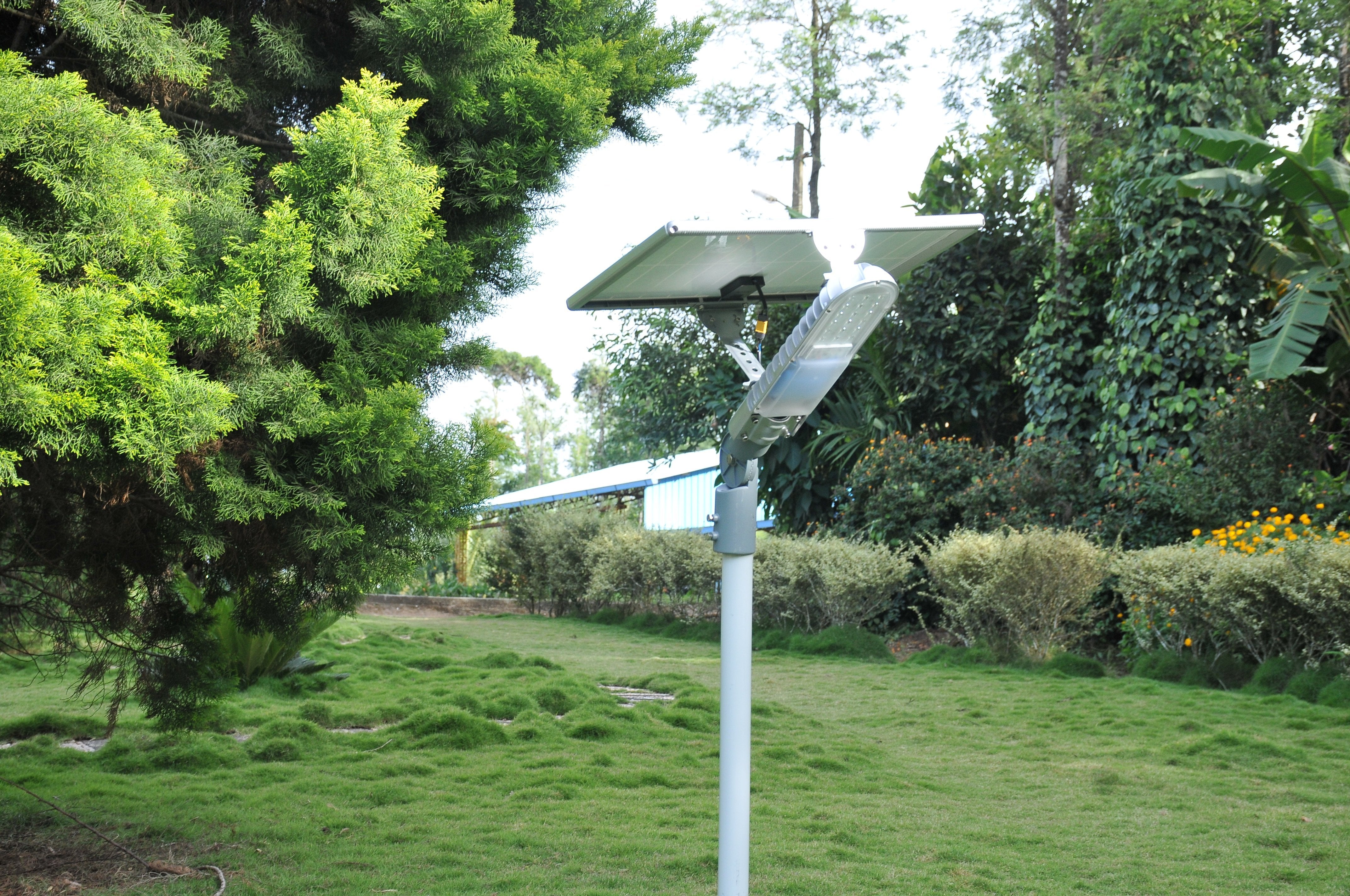 Solar Street Light 15 Watt - TTSSL15W - tapetum.in