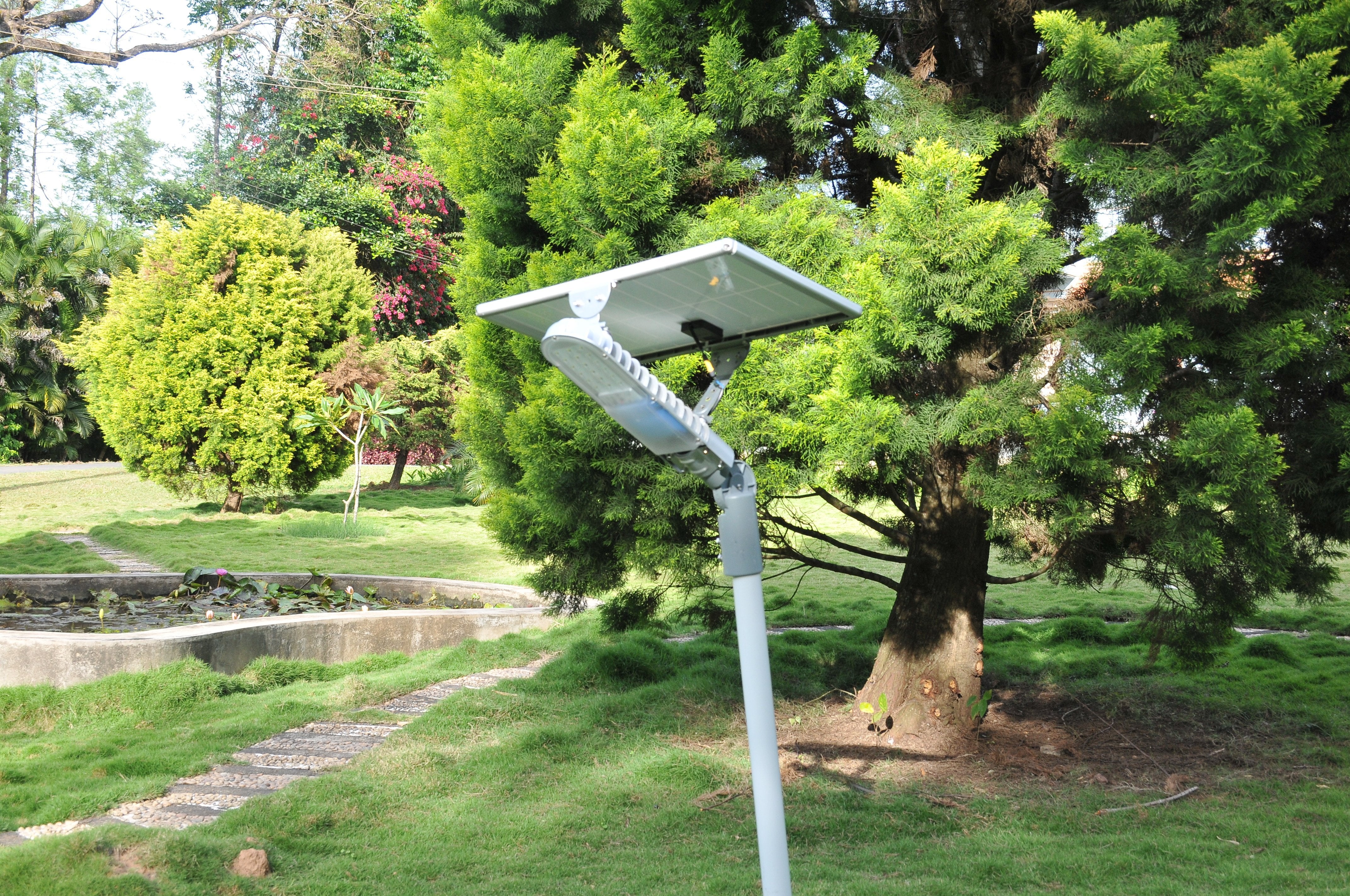 Solar Street Light 15 Watt - TTSSL15W - tapetum.in