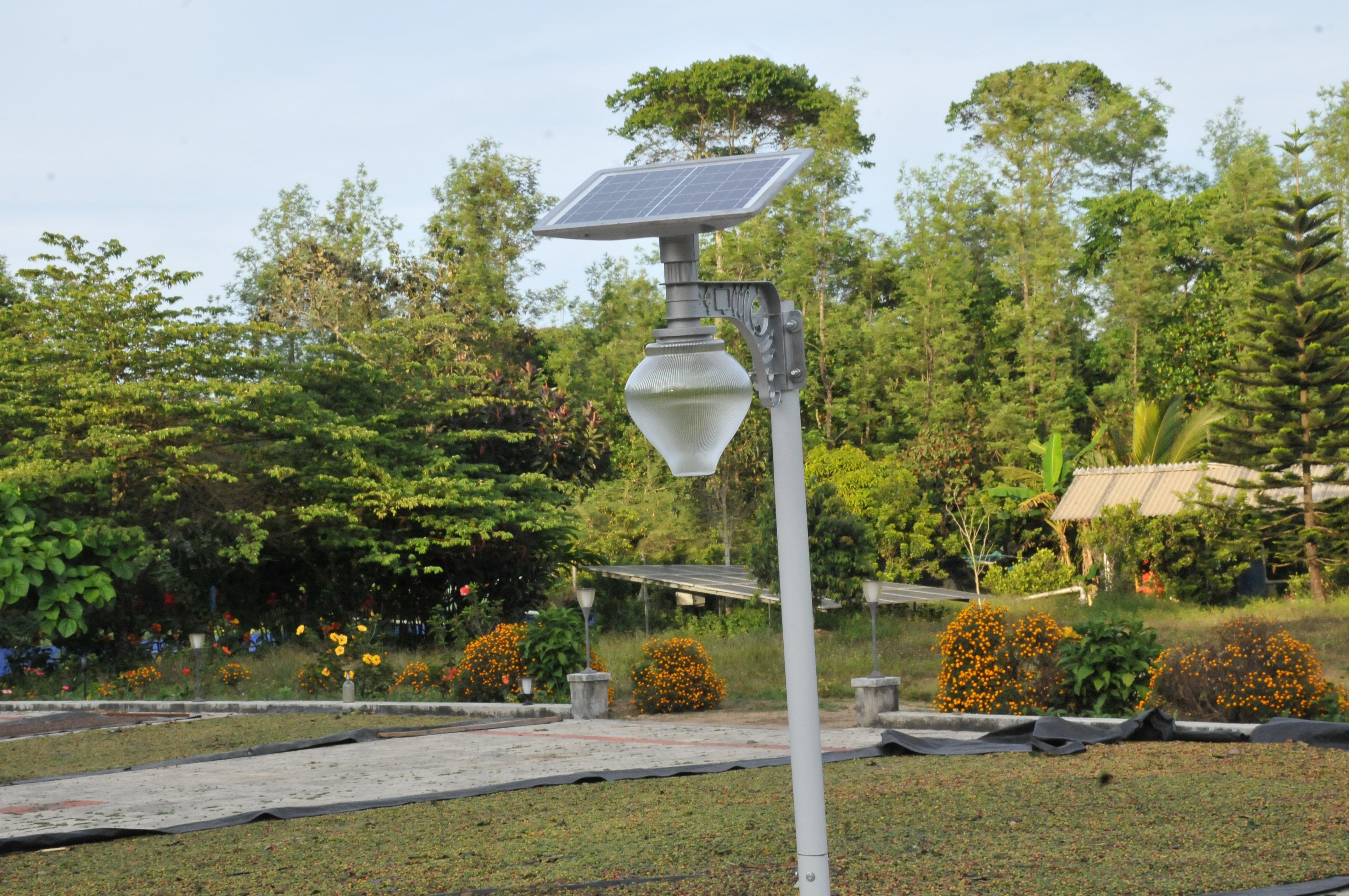 Solar Moon Light 10 Watt Cool White - TTSML10W - tapetum.in