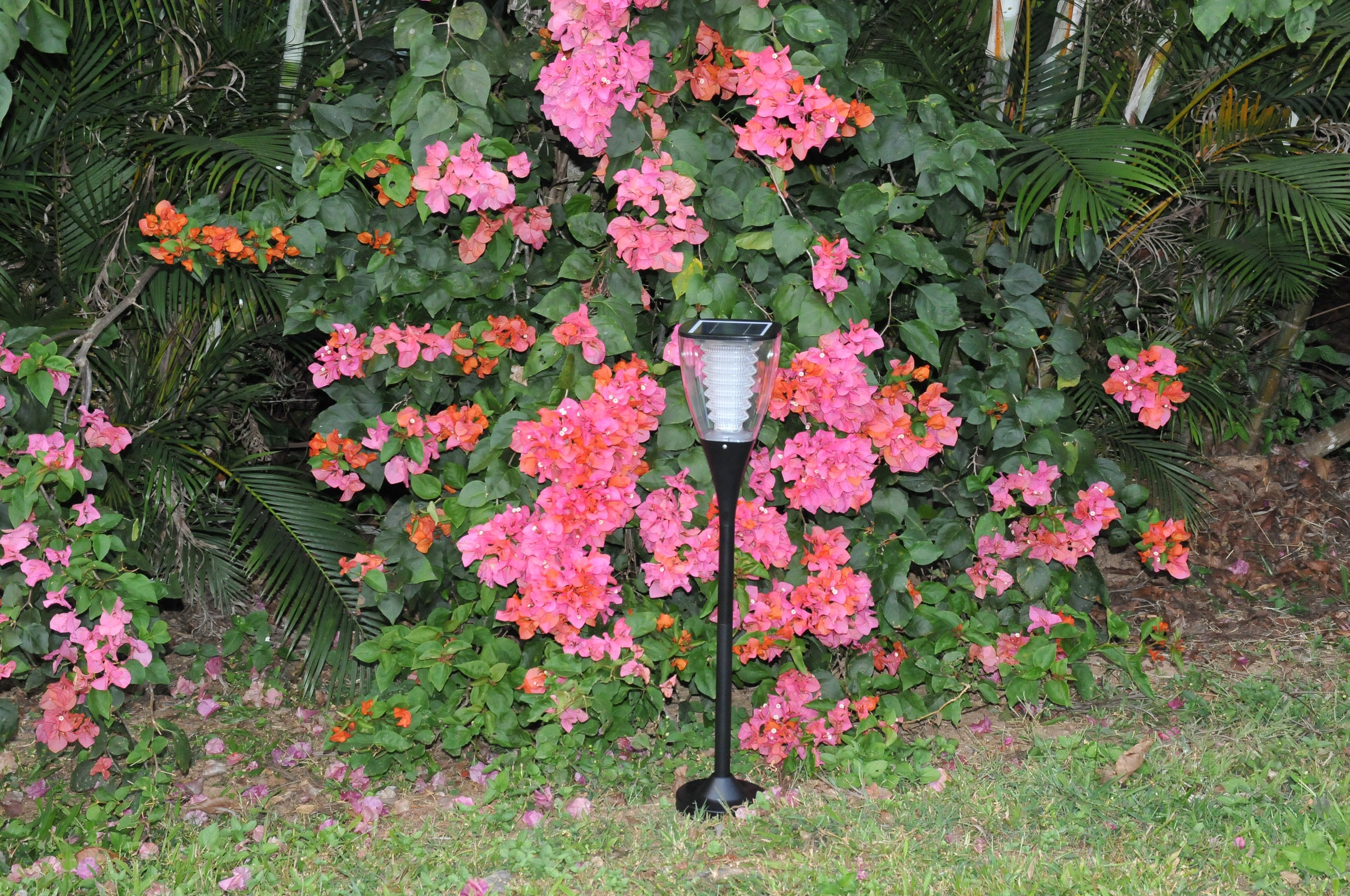 Solar Garden Light Warm White - TTSGLWW1W - tapetum.in