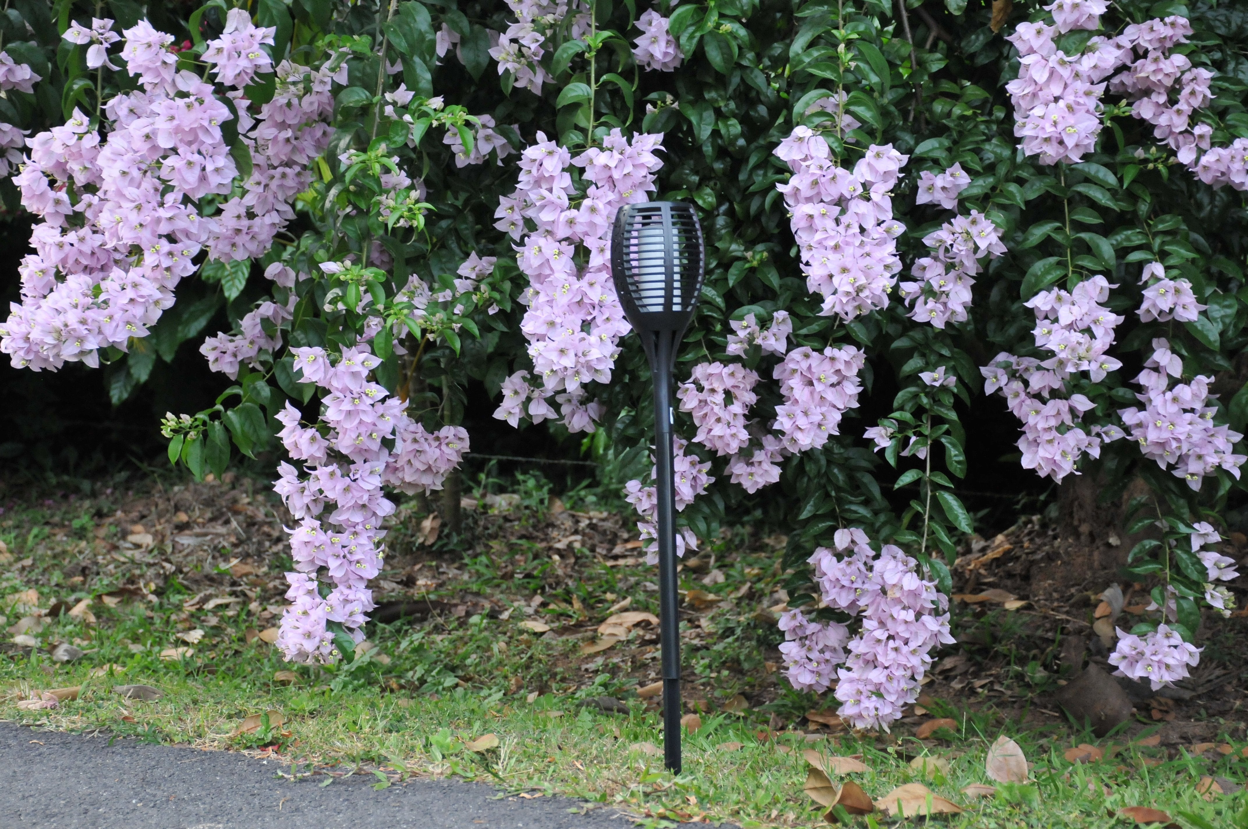 Solar Garden Fire Burn LED Light - TTSGFBL05W - tapetum.in