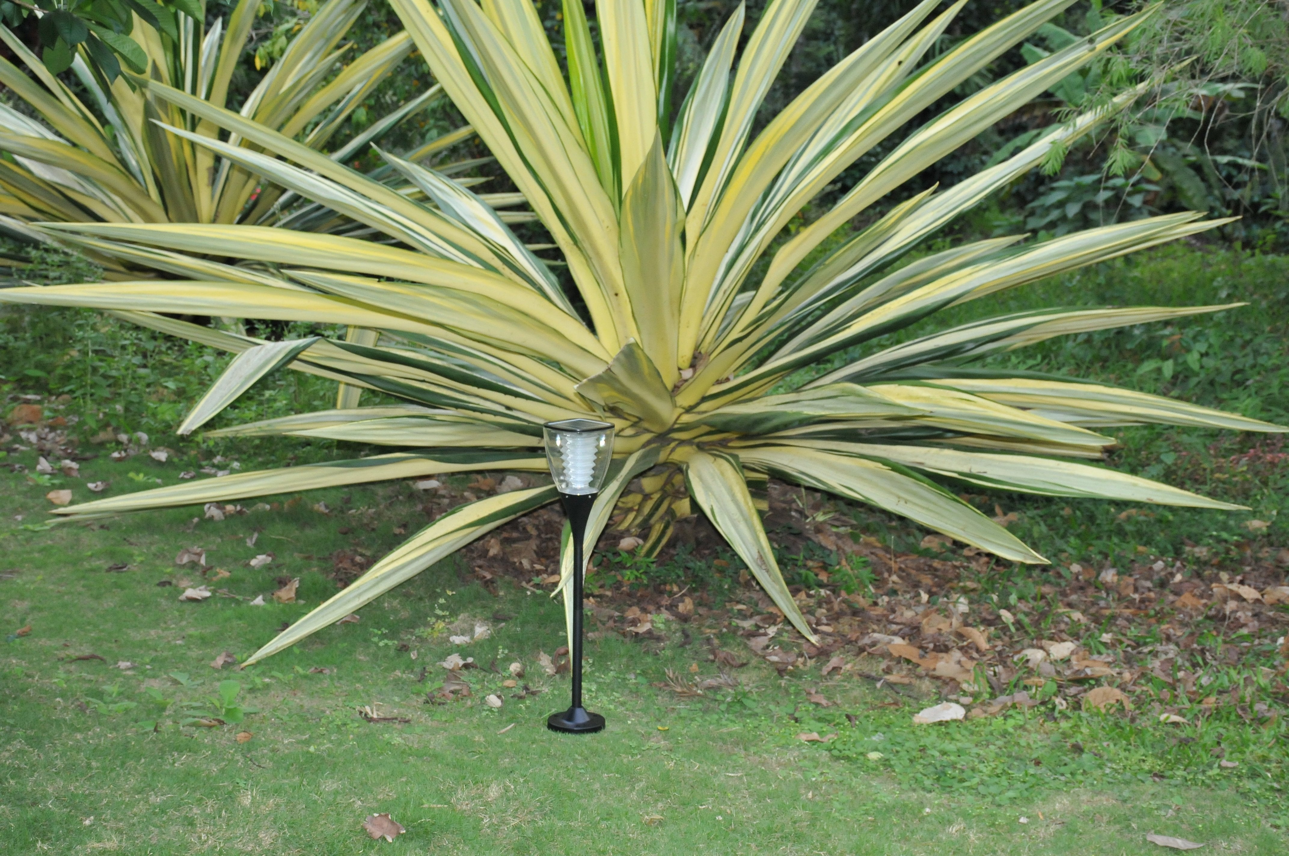 Solar Garden Light Warm White - TTSGLWW1W - tapetum.in