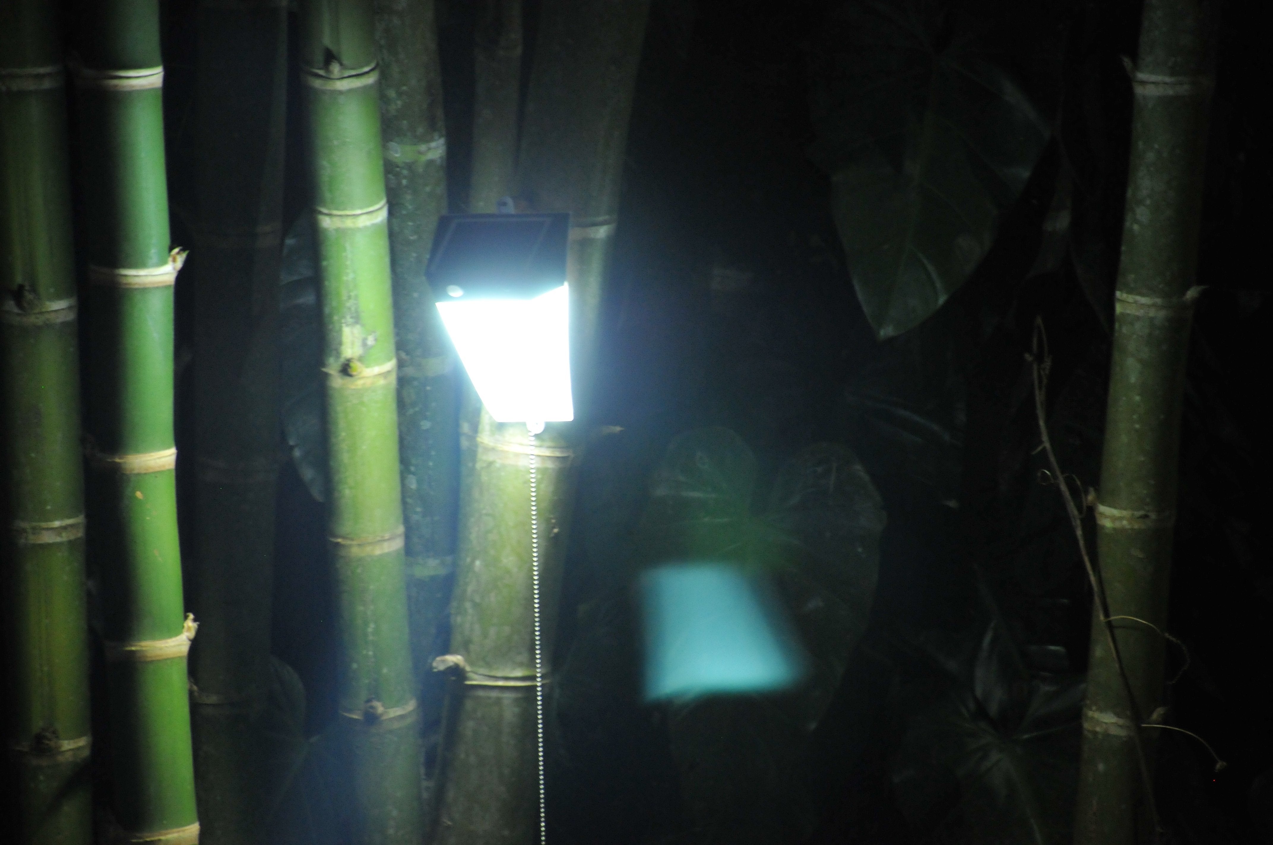 Solar Motion Wall Light - White LED Light - TTSMW5W - tapetum.in