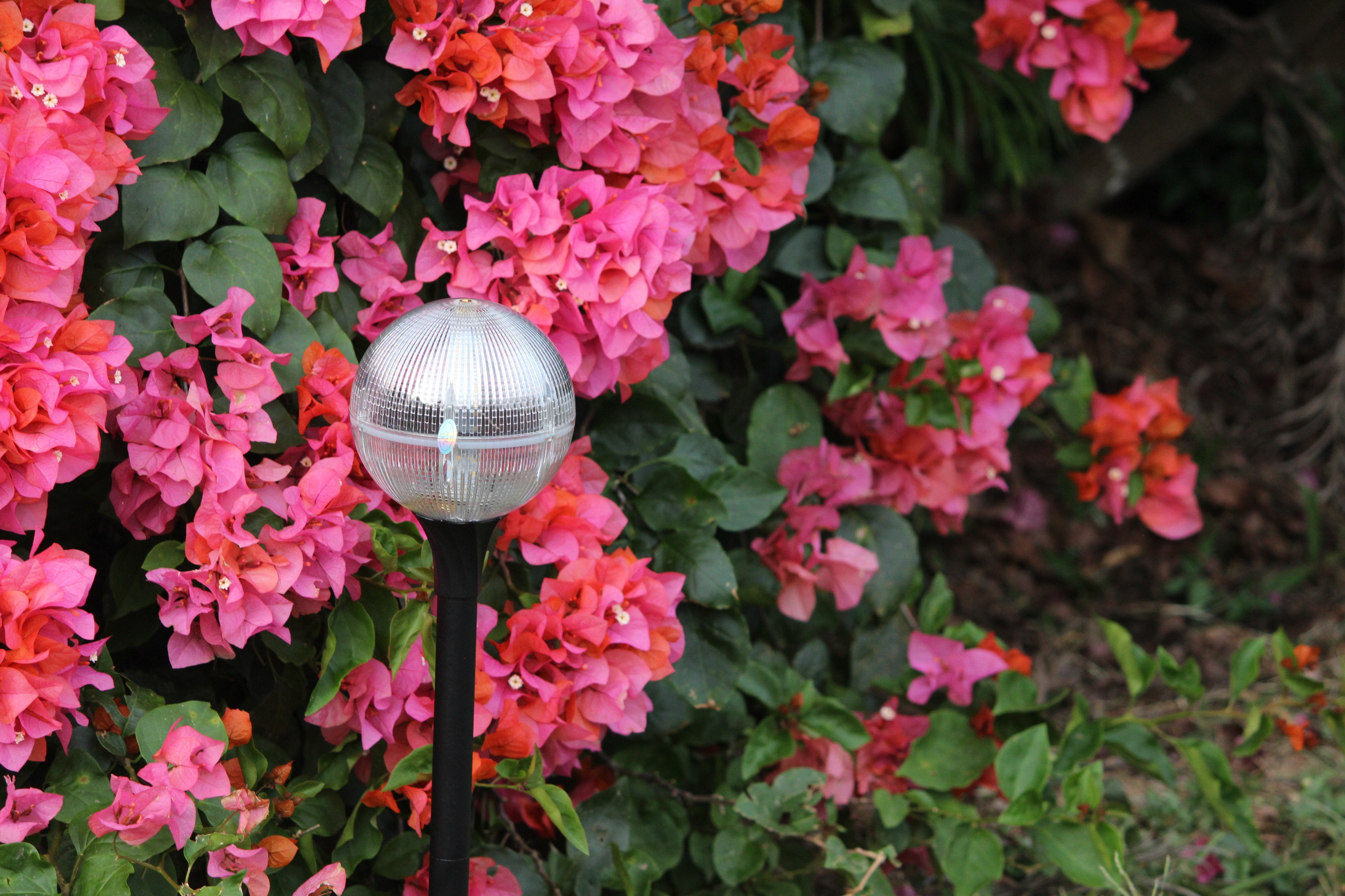 Solar Garden Fancy Light - Warm White - TTSGFL02W - tapetum.in