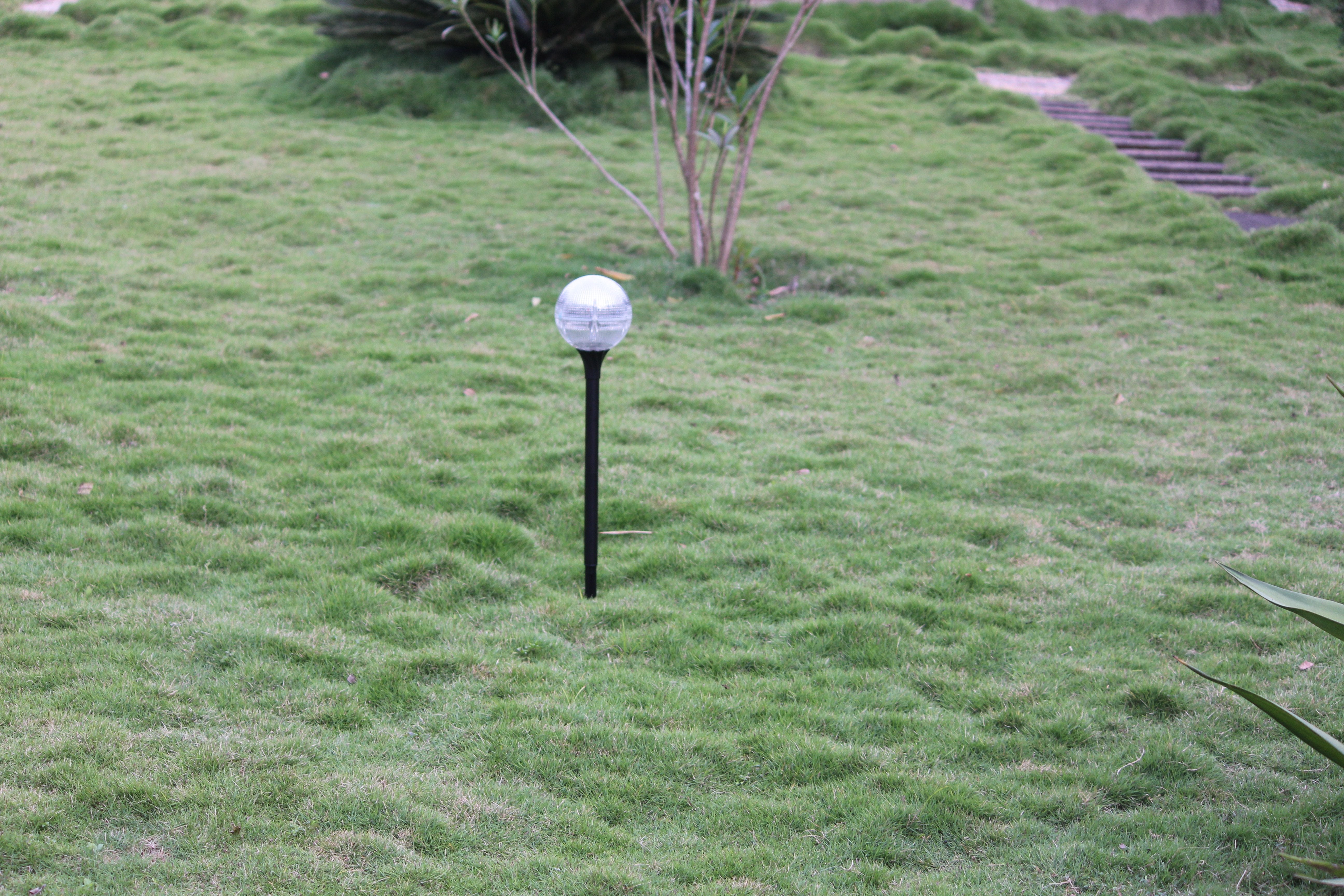 Solar Garden Fancy Light - Warm White - TTSGFL02W - tapetum.in