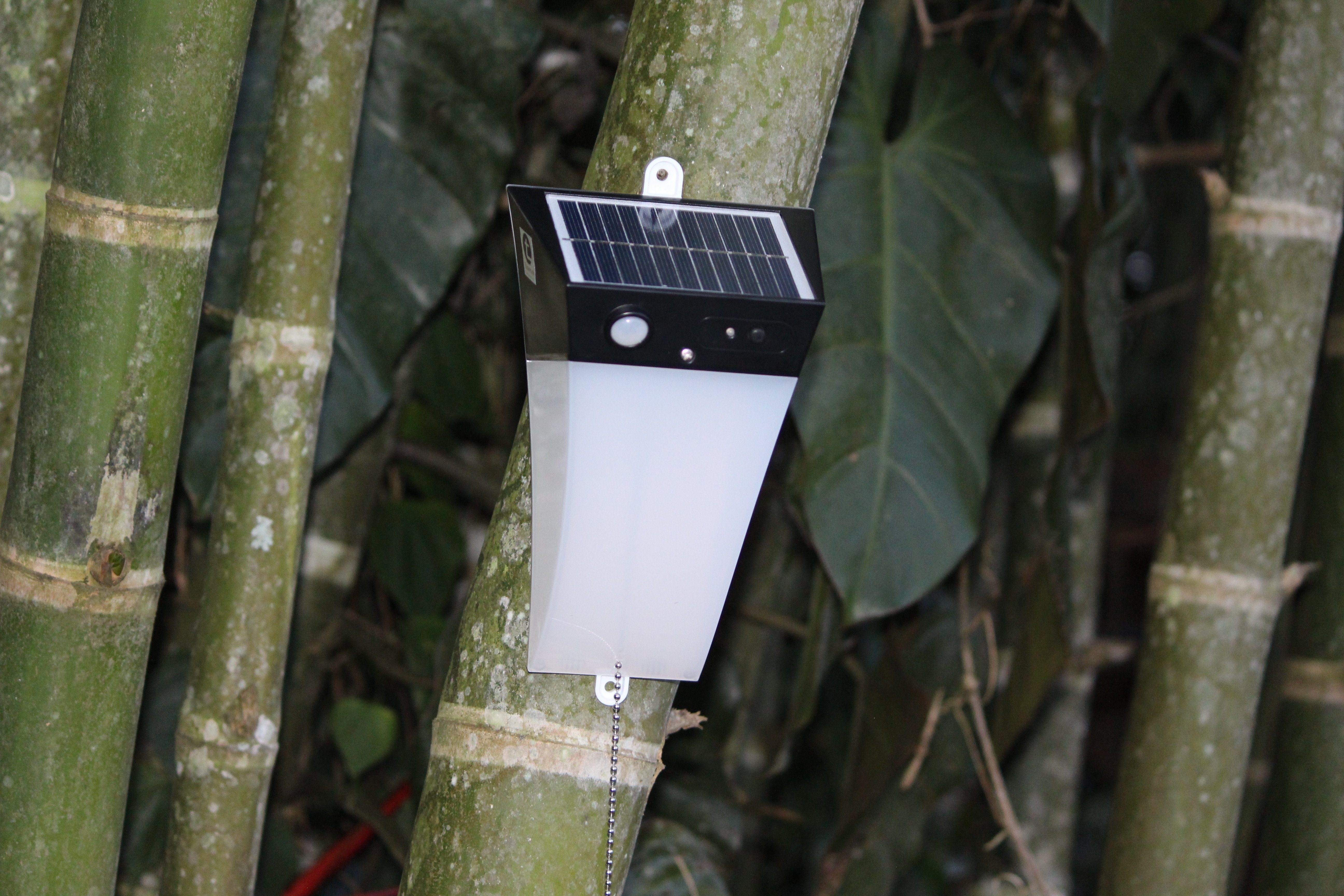 Solar Motion Wall Light - White LED Light - TTSMW5W - tapetum.in