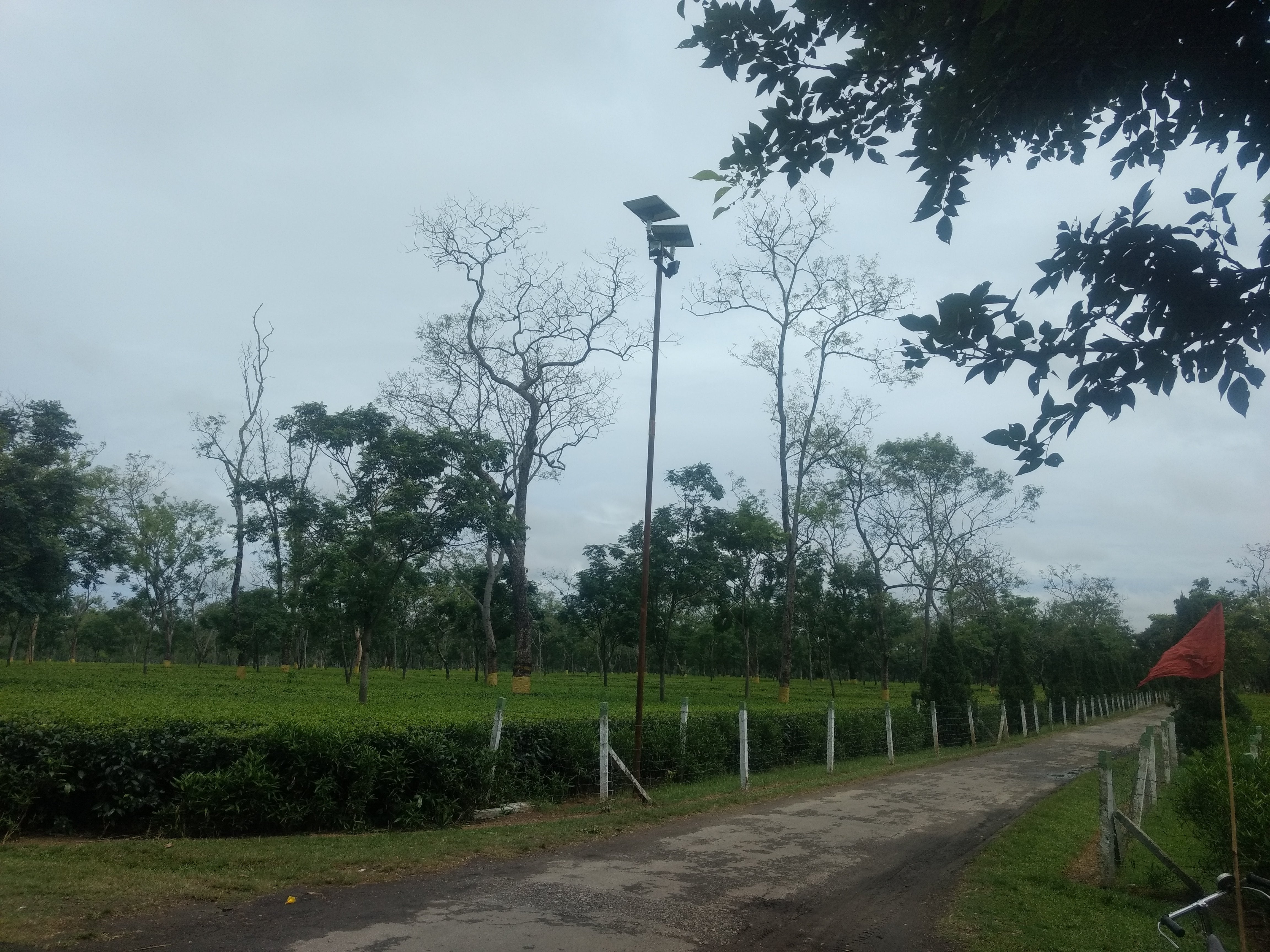Solar Flood Light 50 Watt - TTSFL50W - tapetum.in