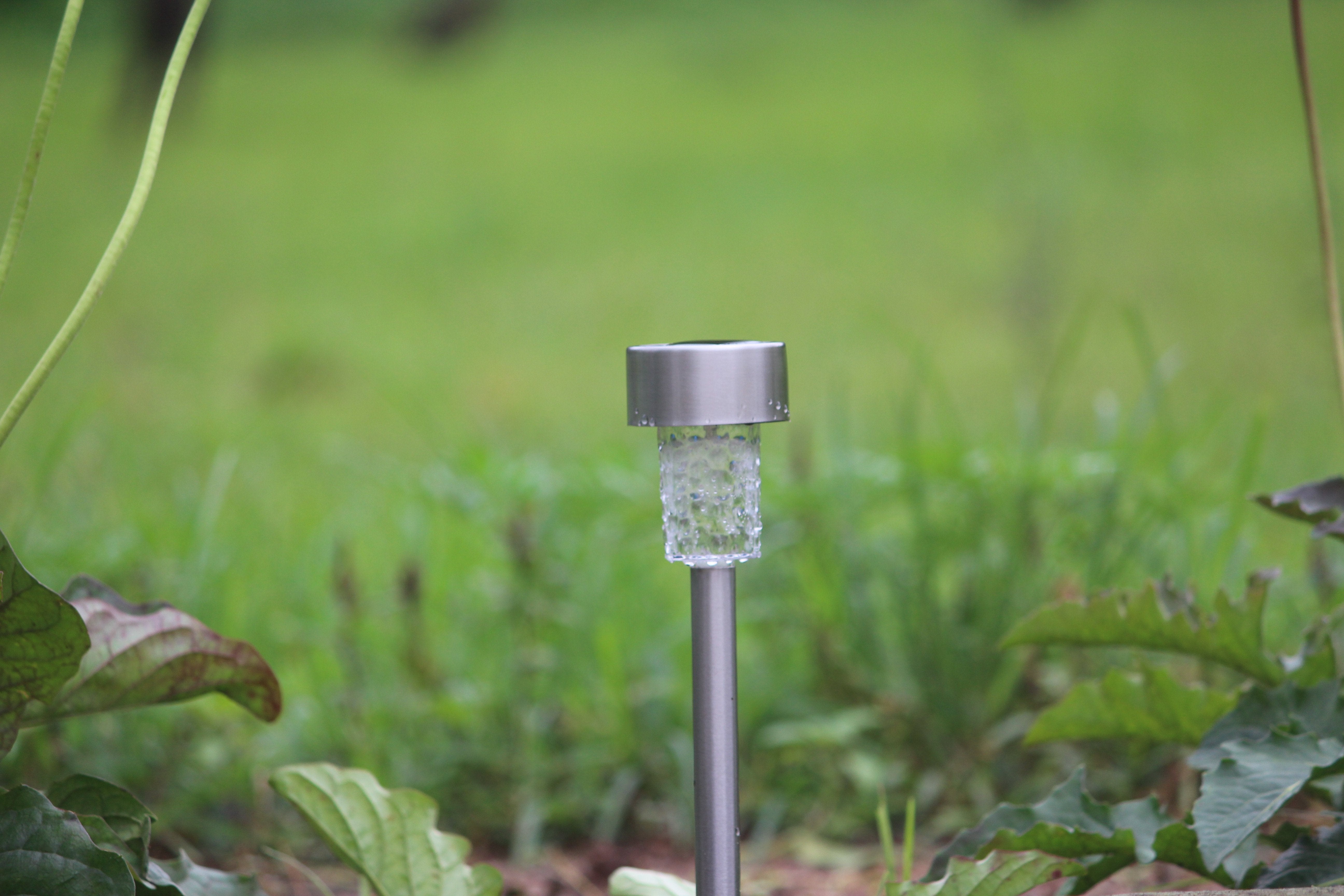 Solar Pathway Garden Light - TTSPGL2W (Pack of 30) - tapetum.in
