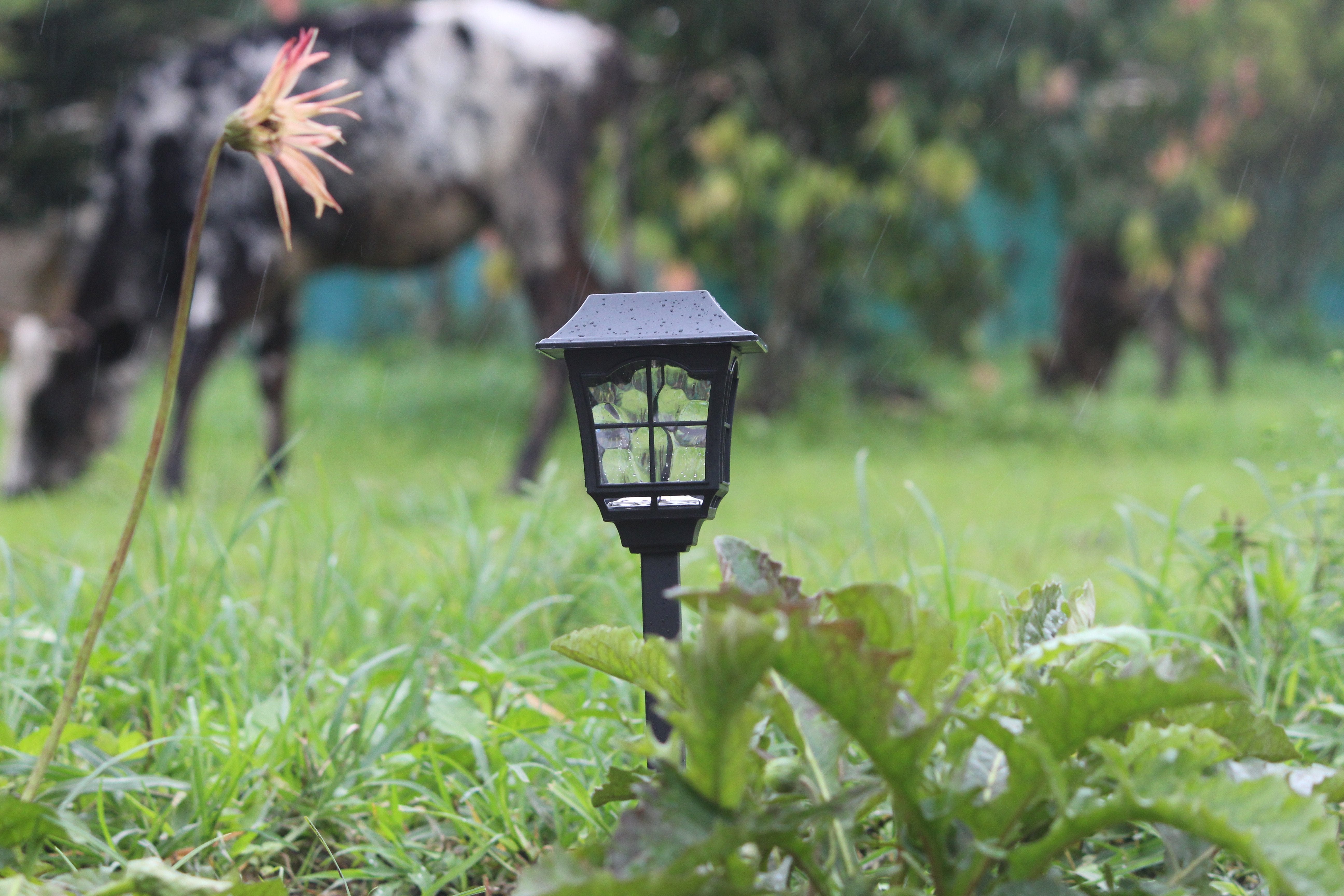 Solar European Pathway Light- TTSEMPL2W (Pack of 10) - tapetum.in