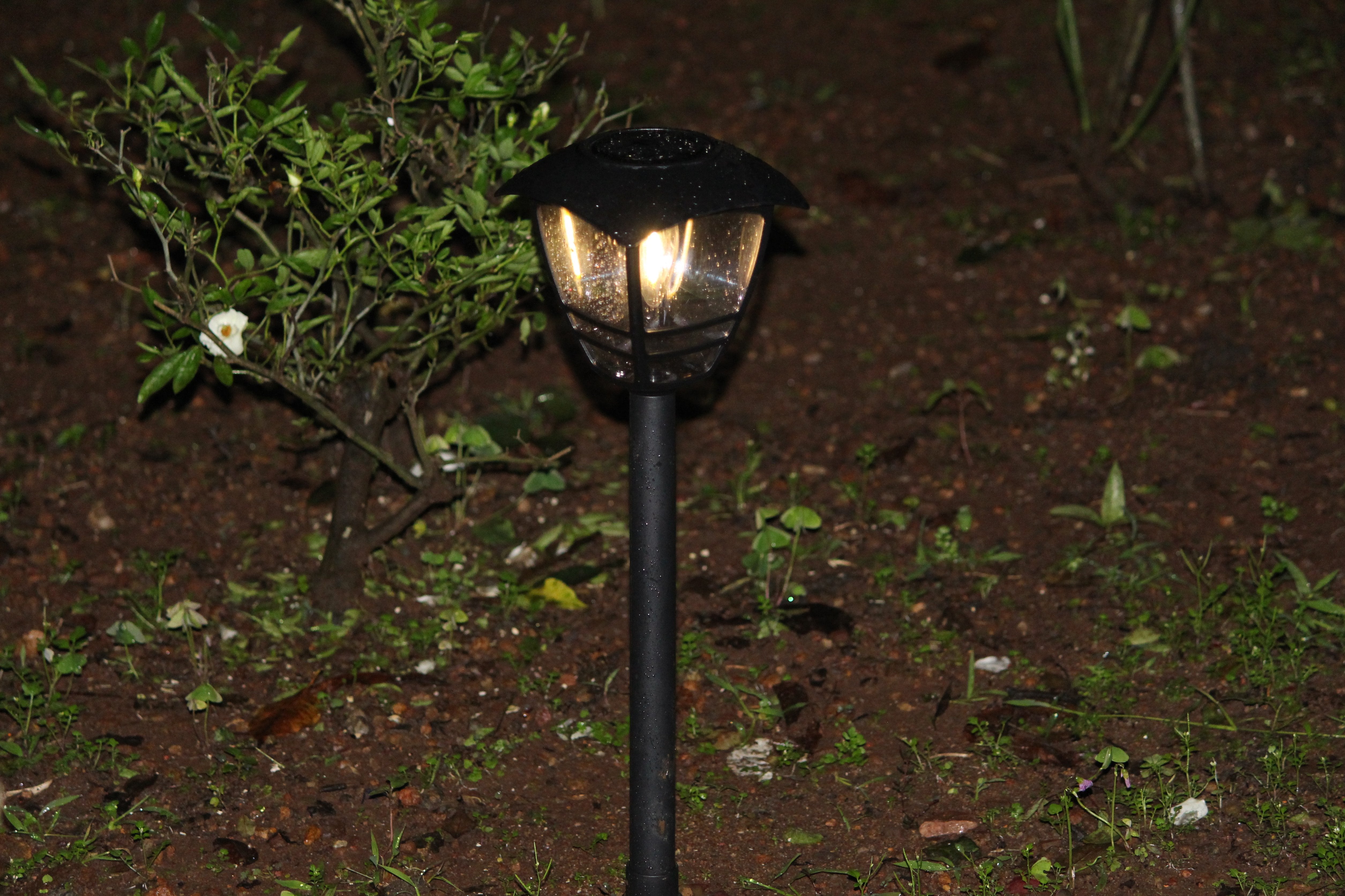 Solar Edison Garden Light - TTSEMGL2W (Pack of 10) - tapetum.in