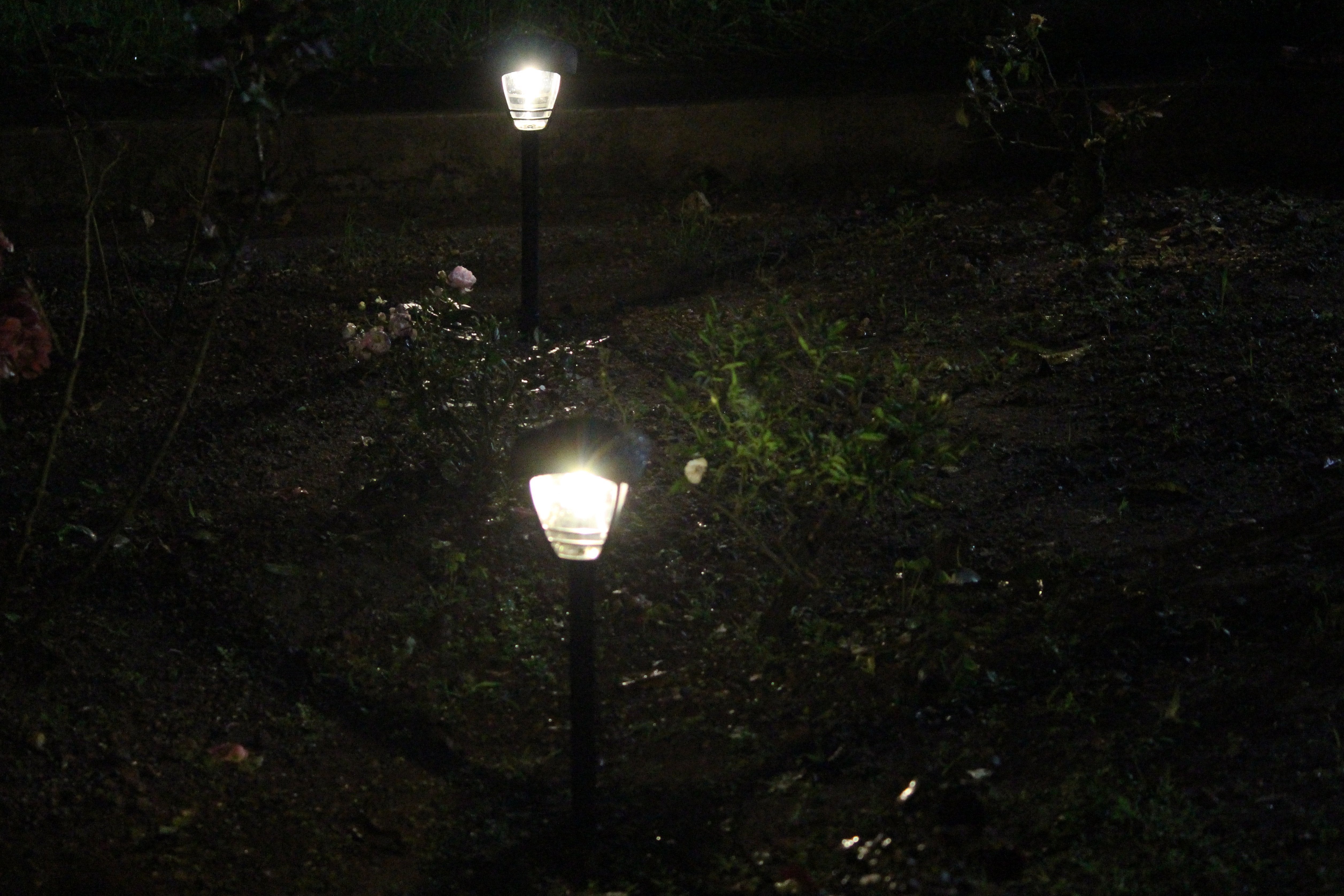 Solar Edison Garden Light - TTSEMGL2W (Pack of 10) - tapetum.in