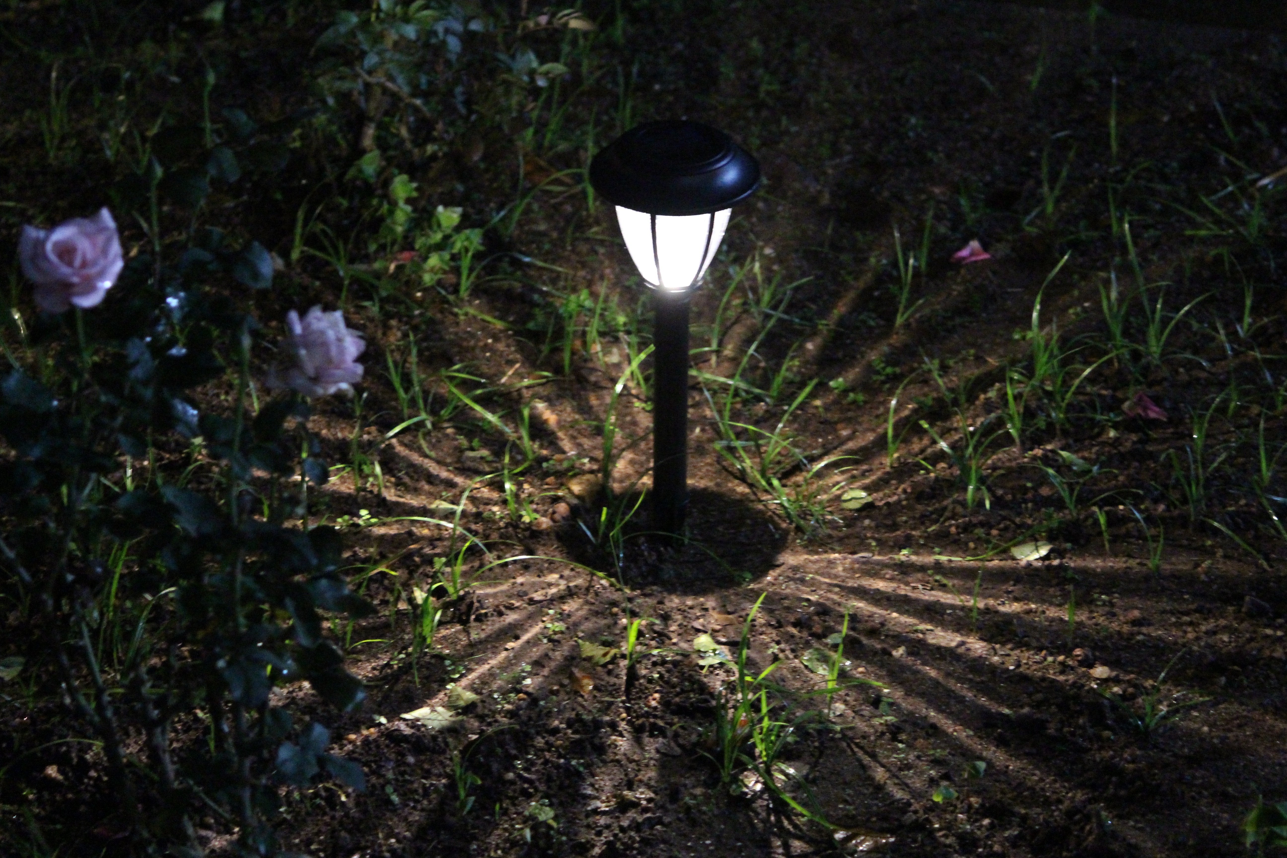 Solar Vintage Garden Light - TTSVMGL2W (Pack of 10) - tapetum.in