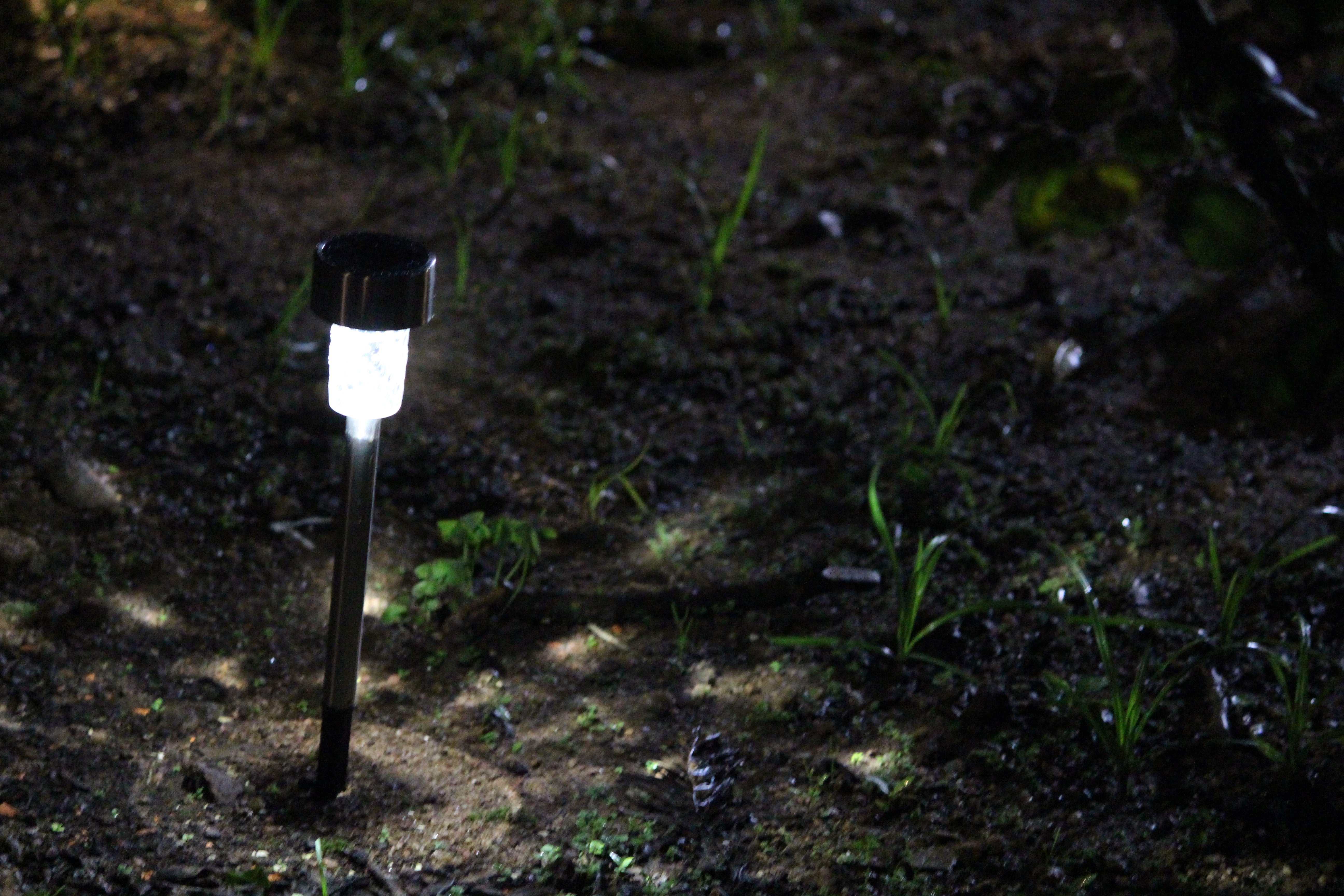 Solar Pathway Garden Light - TTSPGL2W (Pack of 30) - tapetum.in