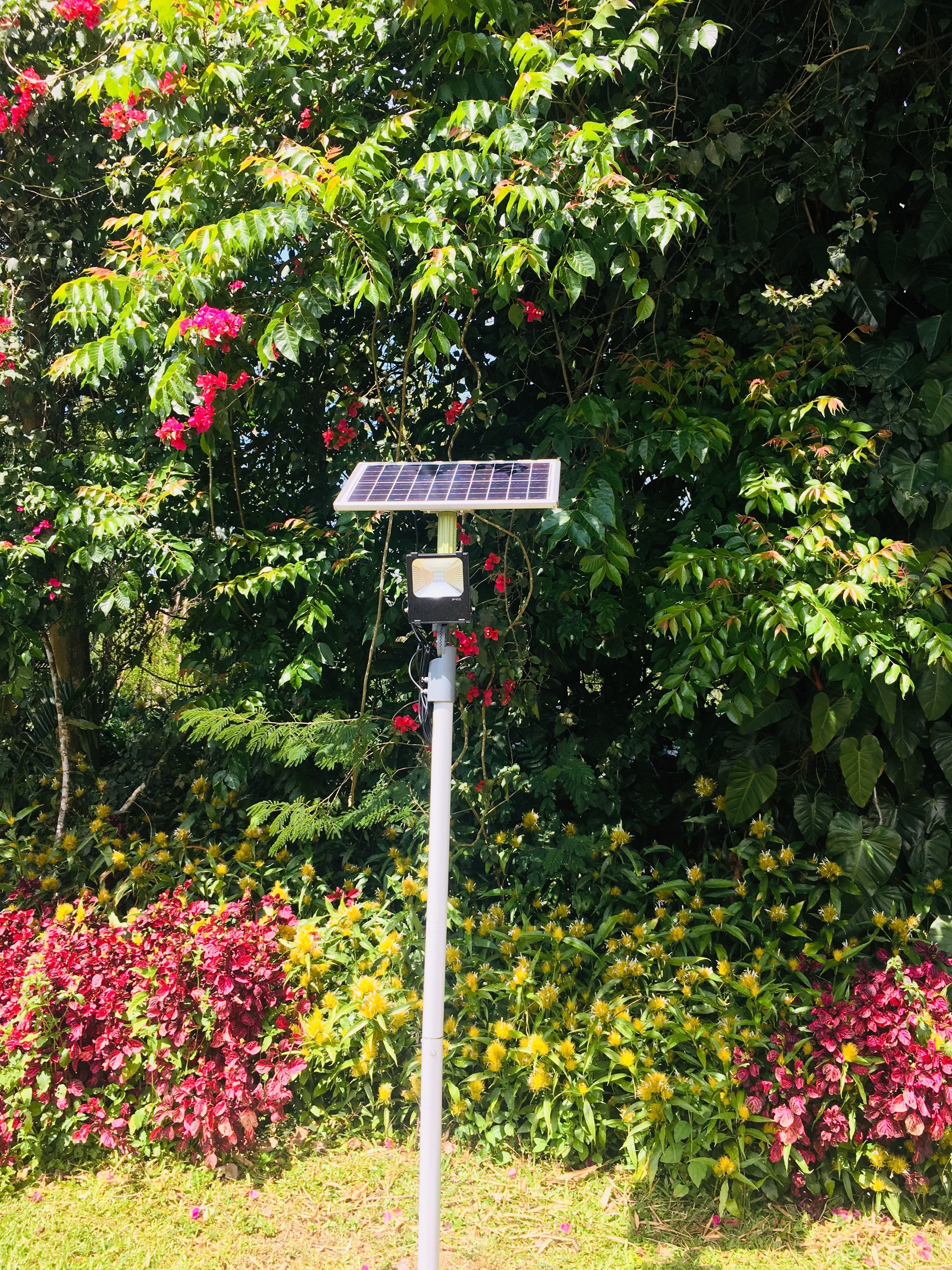 Solar Flood Light 20 Watt - TTSFL20W - tapetum.in