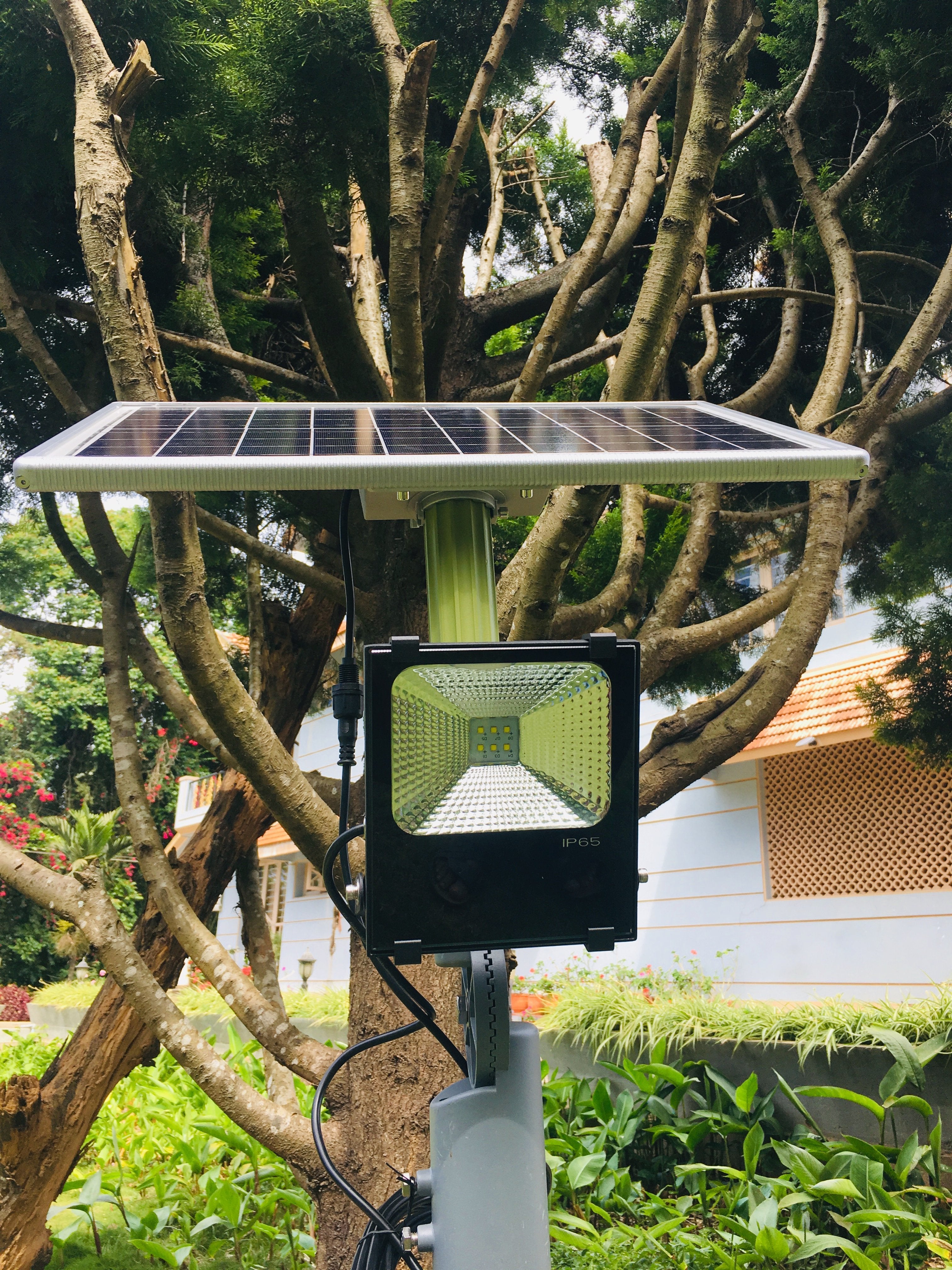 Solar Flood Light 20 Watt - TTSFL20W - tapetum.in