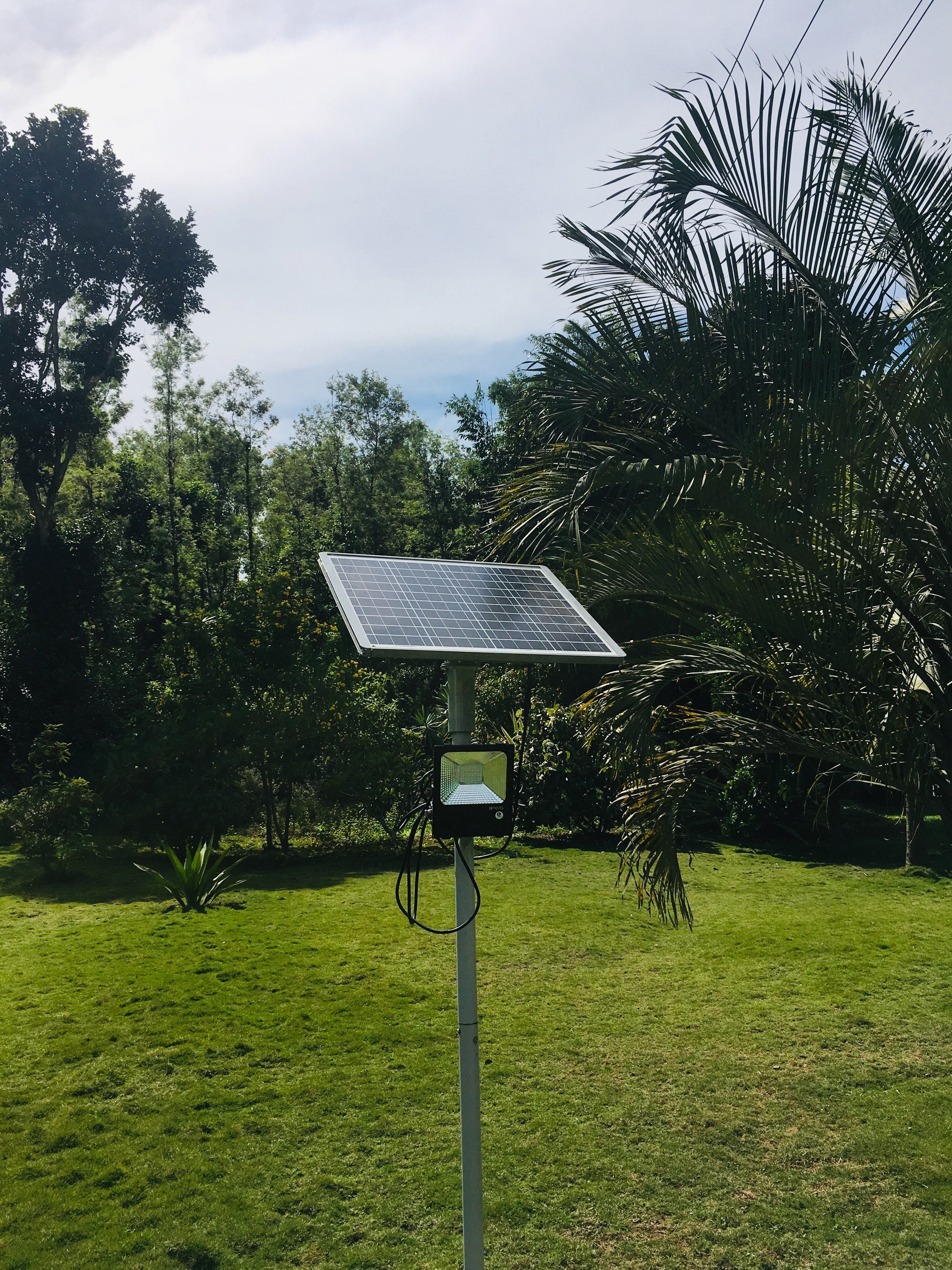 Solar Flood Light 50 Watt - TTSFL50W - tapetum.in