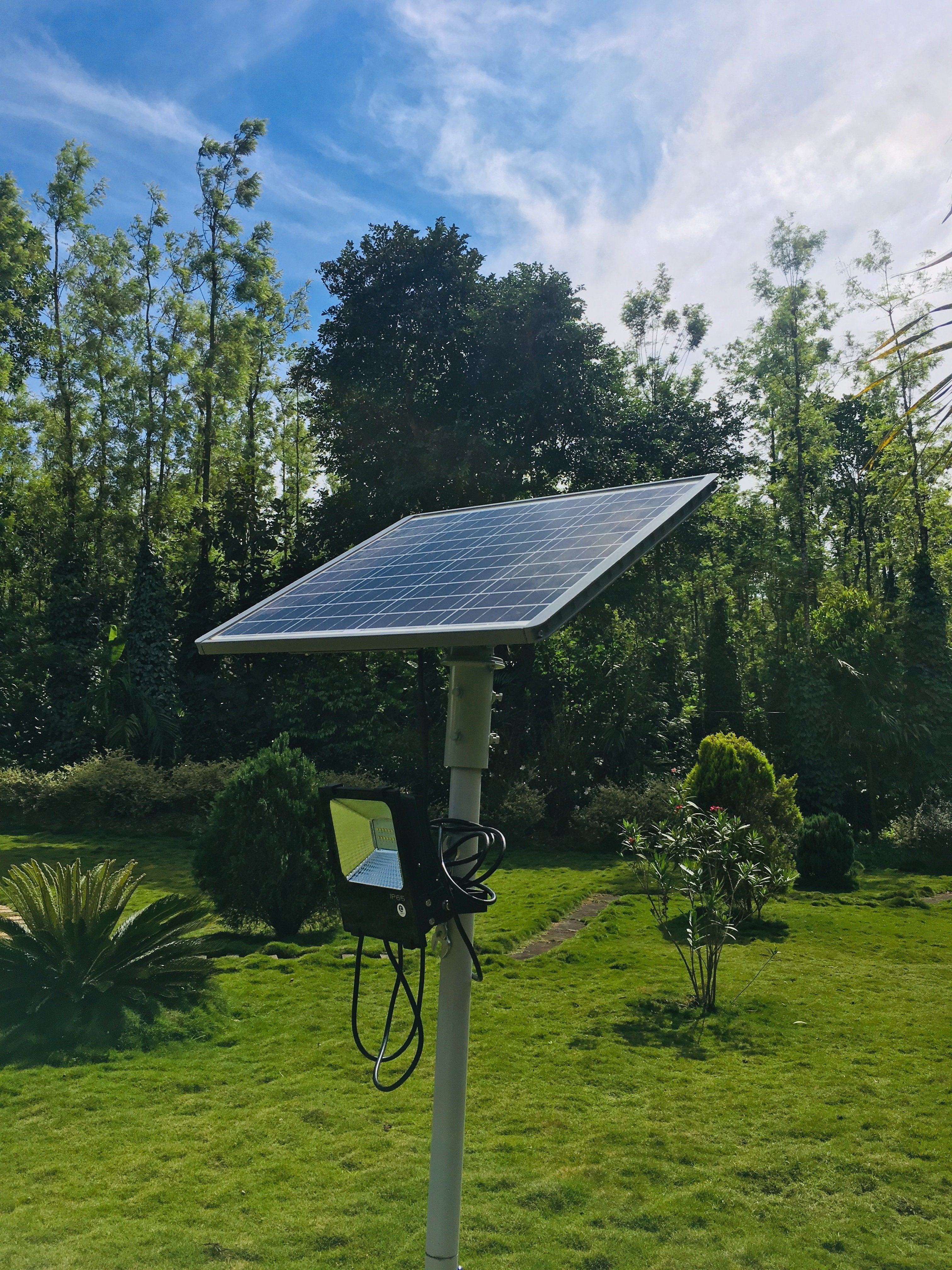 Solar Flood Light 50 Watt - TTSFL50W - tapetum.in