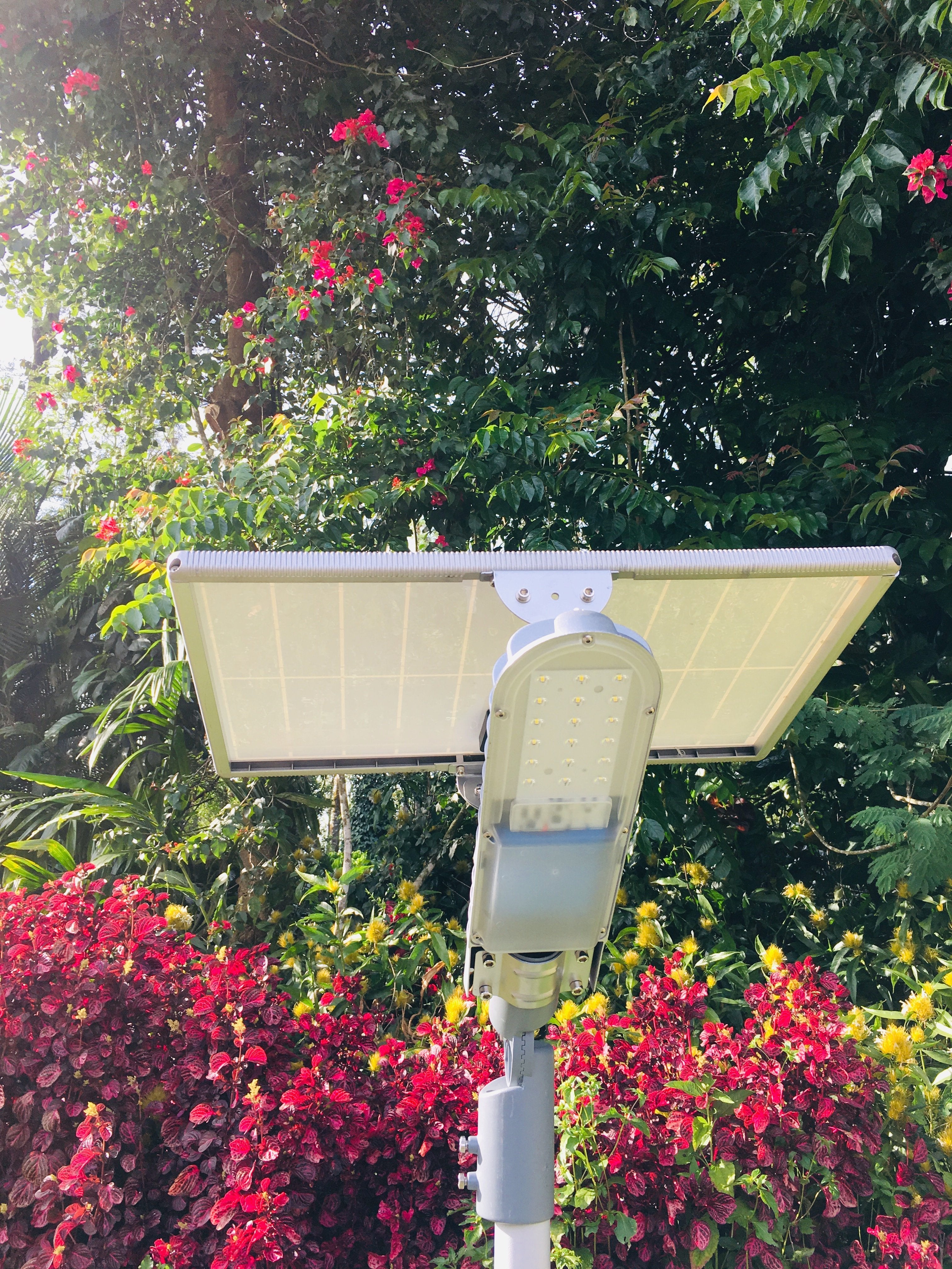 Solar Street Light 15 Watt - TTSSL15W - tapetum.in
