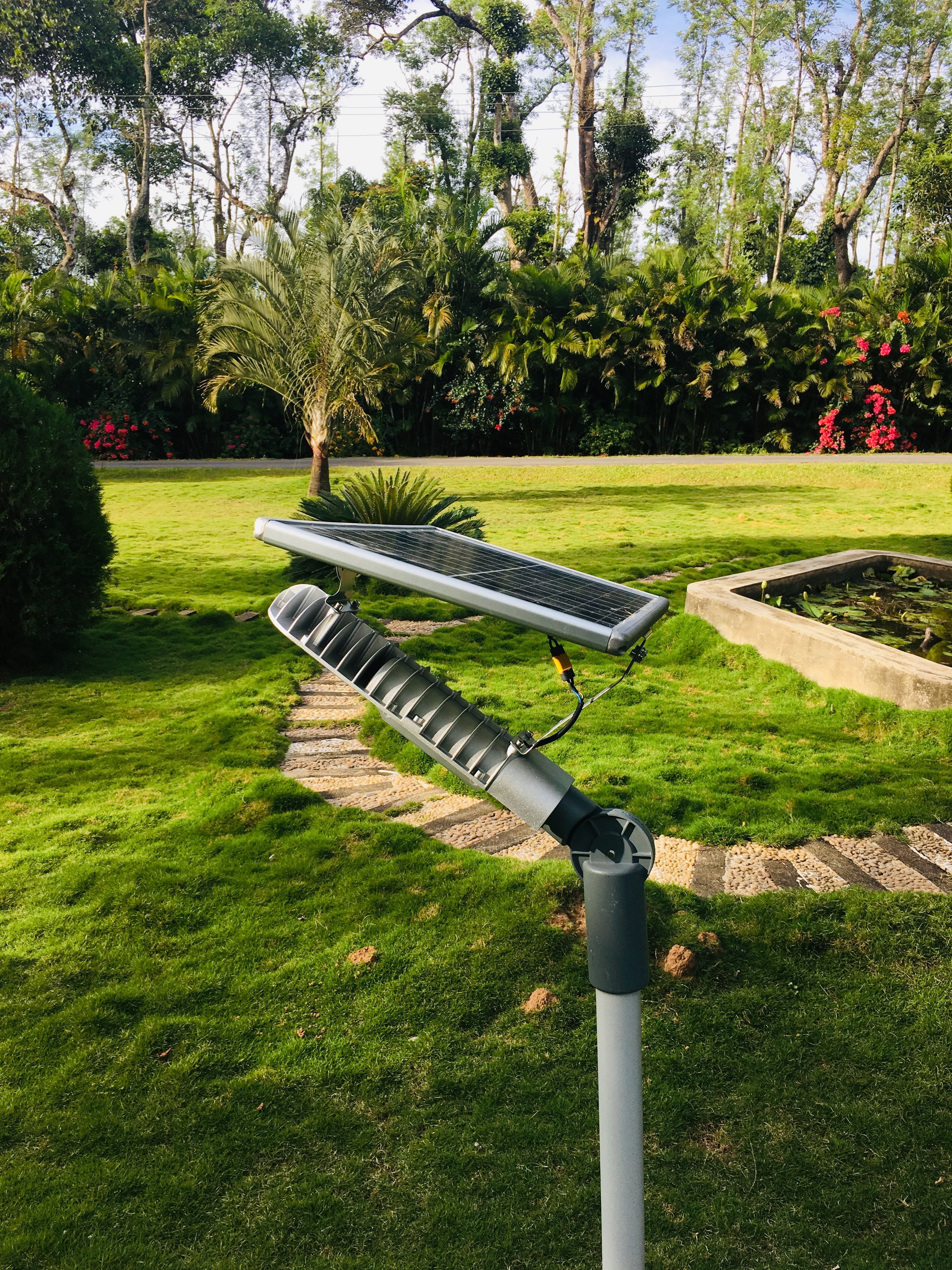Solar Street Light 15 Watt - TTSSL15W - tapetum.in