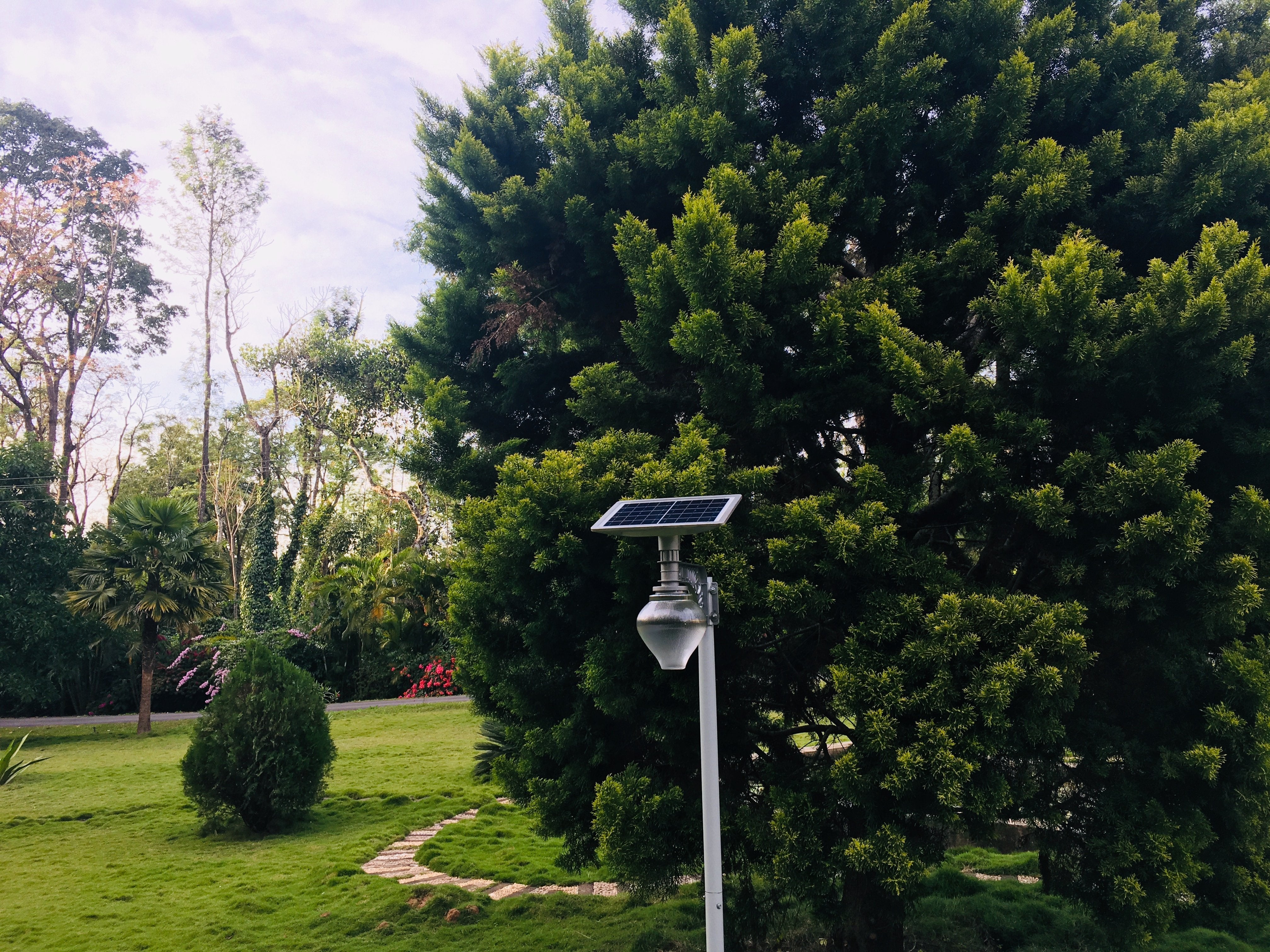 Solar Moon Light 10 Watt Cool White - TTSML10W - tapetum.in
