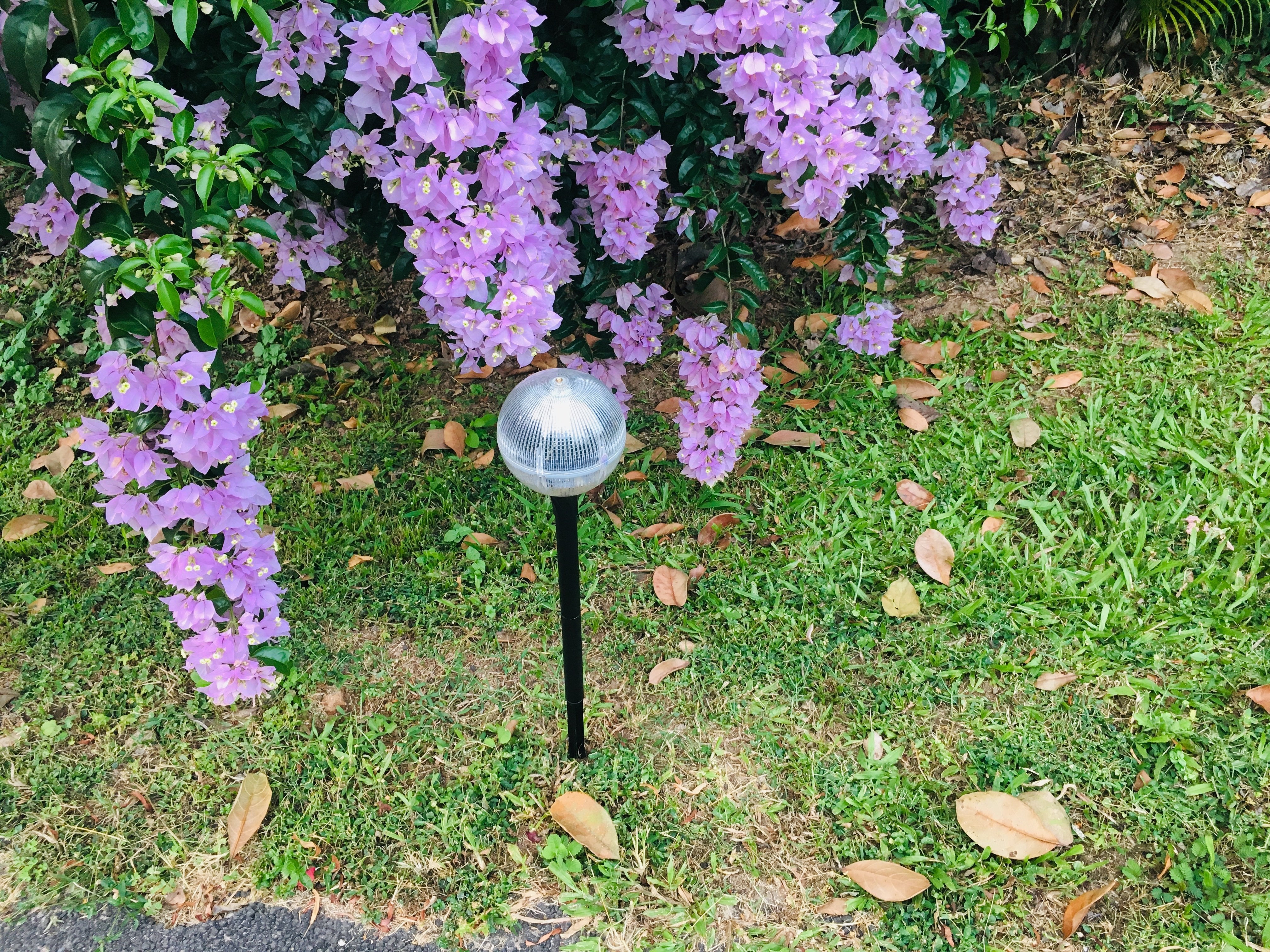 Solar Garden Fancy Light - Warm White - TTSGFL02W - tapetum.in
