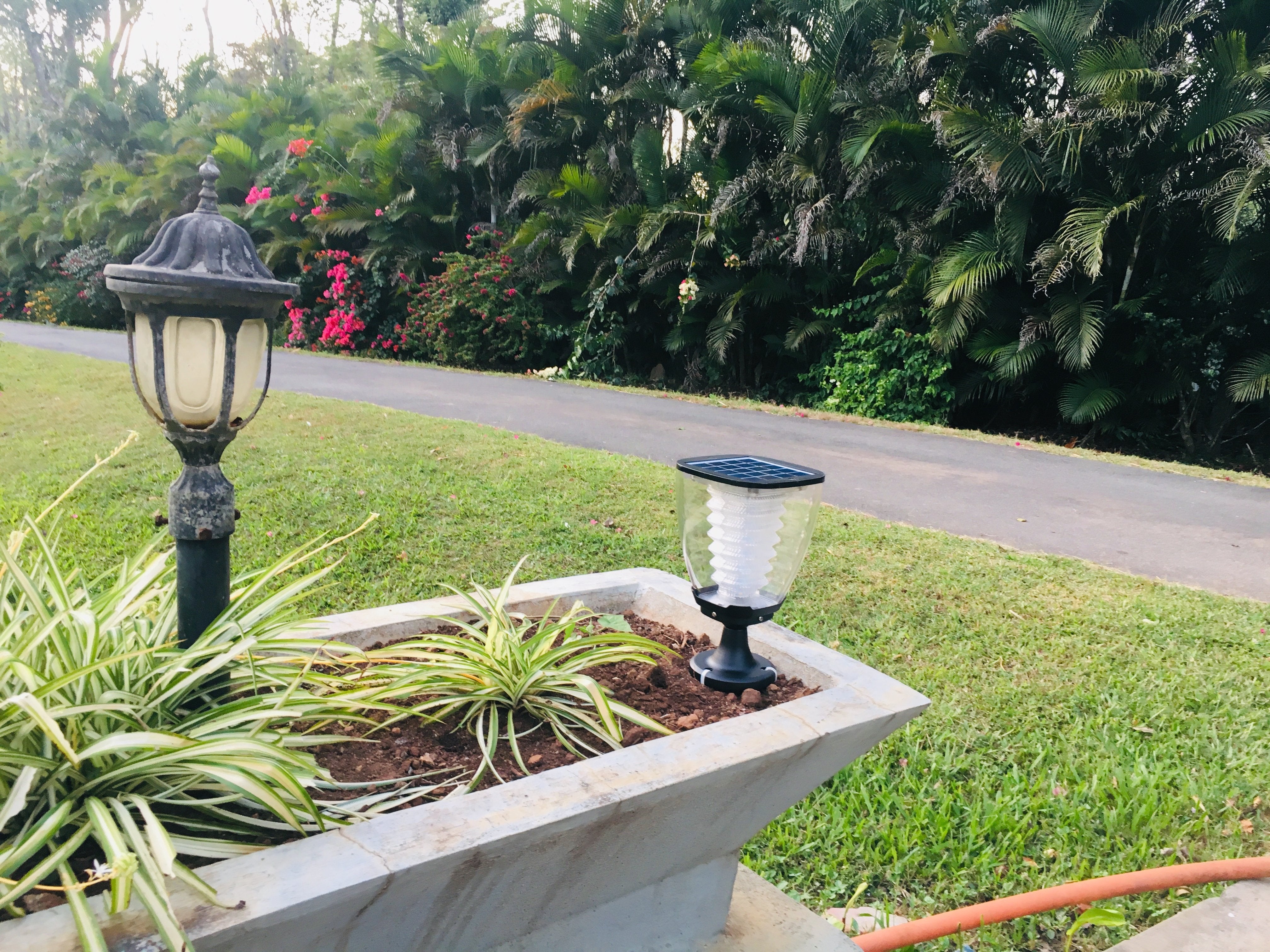 Solar Gate Light - Warm White - TTSGL2W (Pack of 2) - tapetum.in