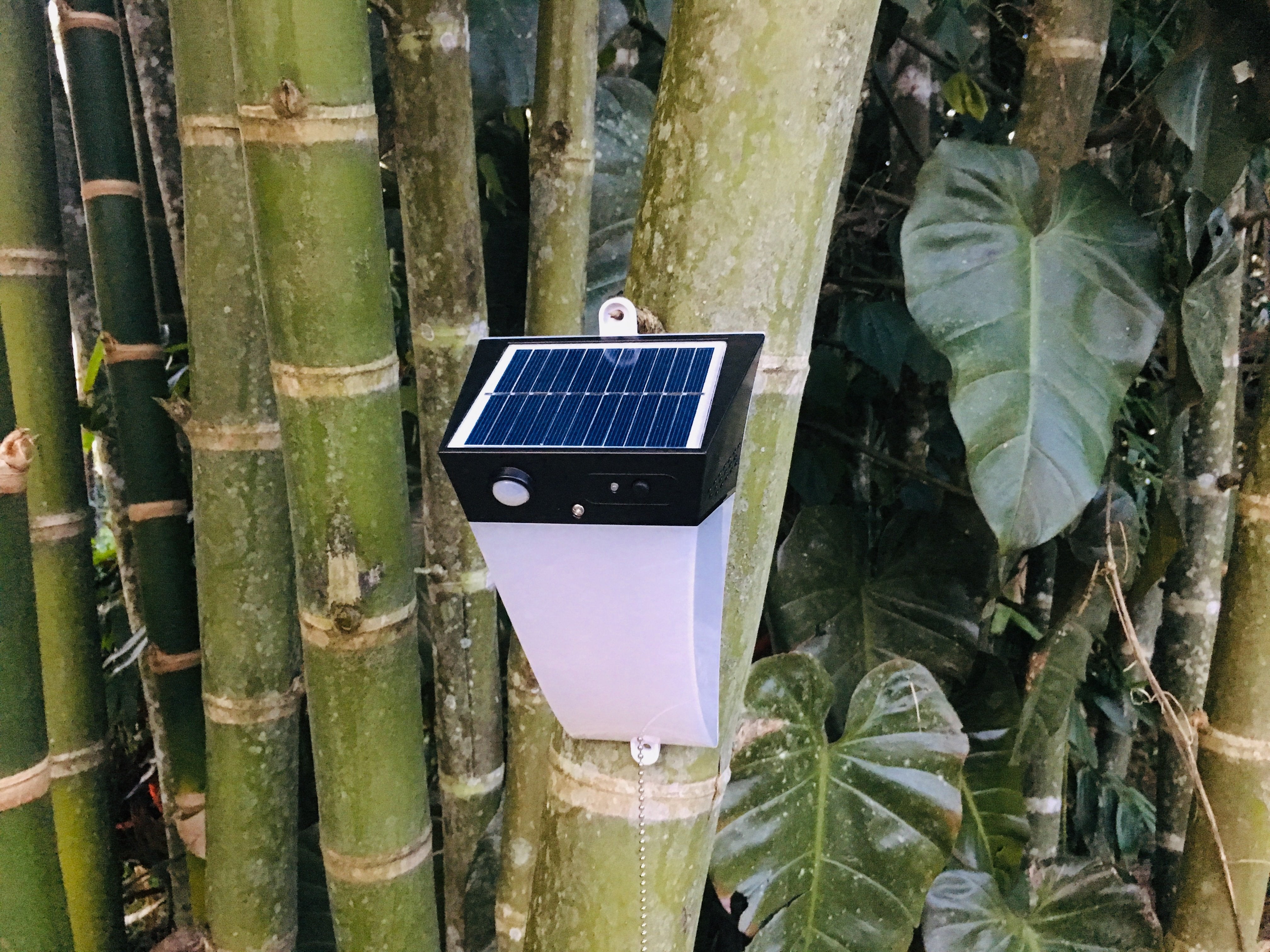 Solar Motion Wall Light - White LED Light - TTSMW5W - tapetum.in