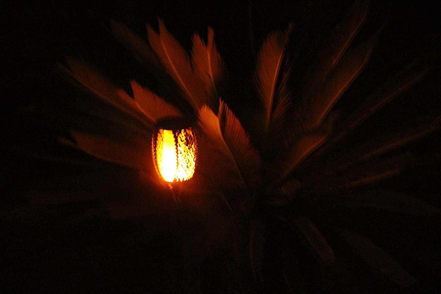 Solar Garden Fire Burn LED Light - TTSGFBL05W - tapetum.in