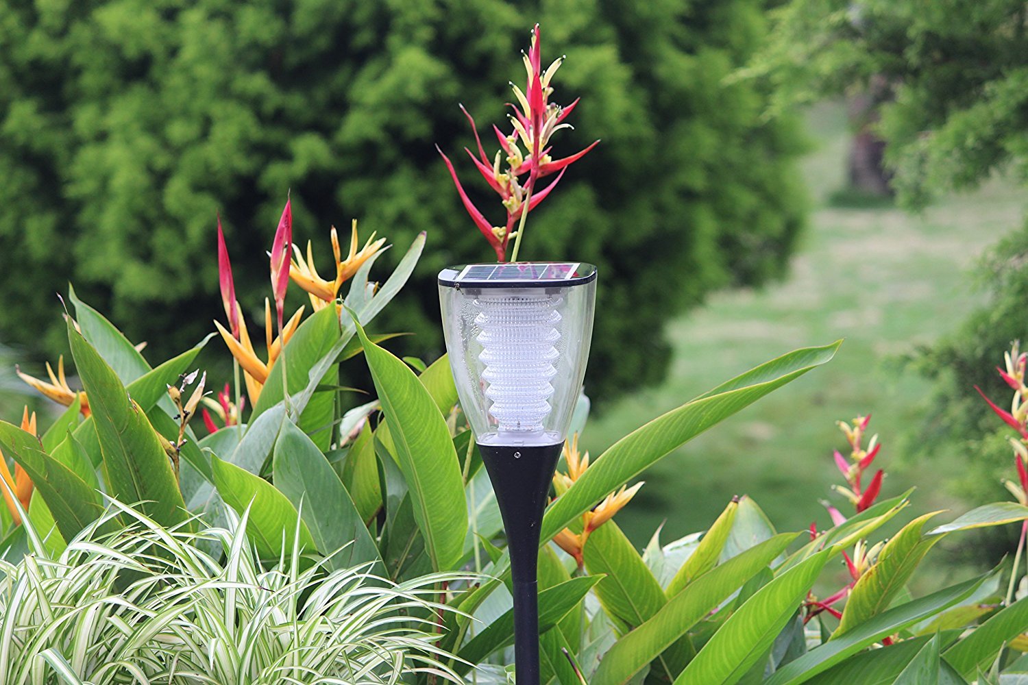 Solar Garden Light Warm White - TTSGLWW1W - tapetum.in