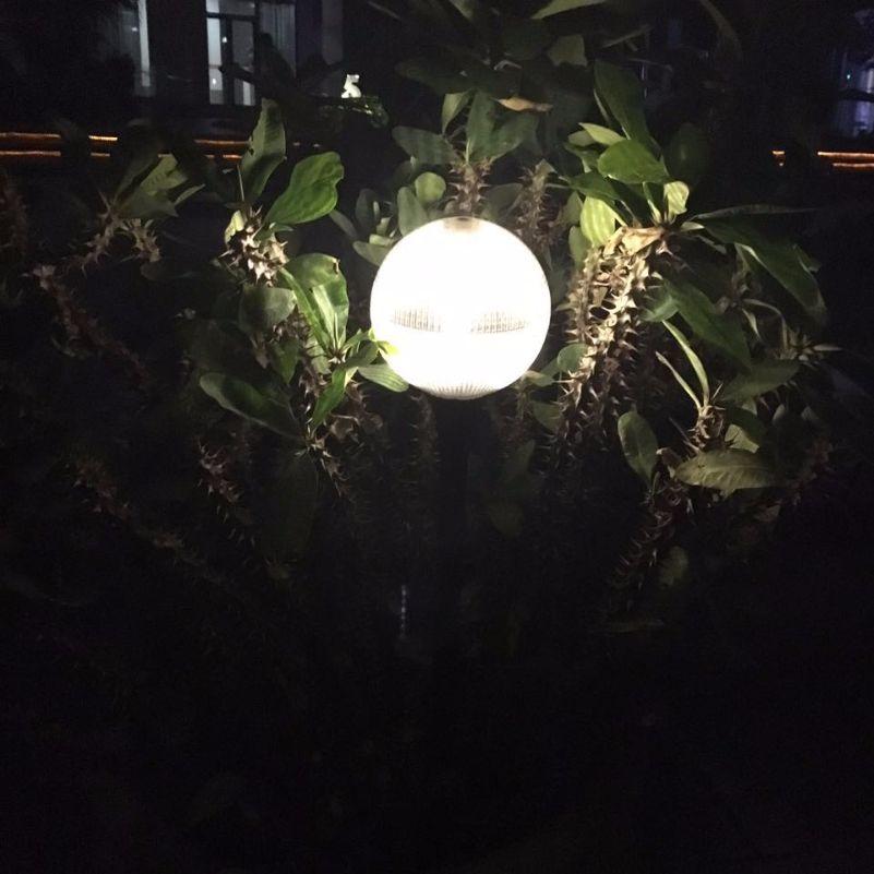 Solar Garden Fancy Light - Warm White - TTSGFL02W - tapetum.in