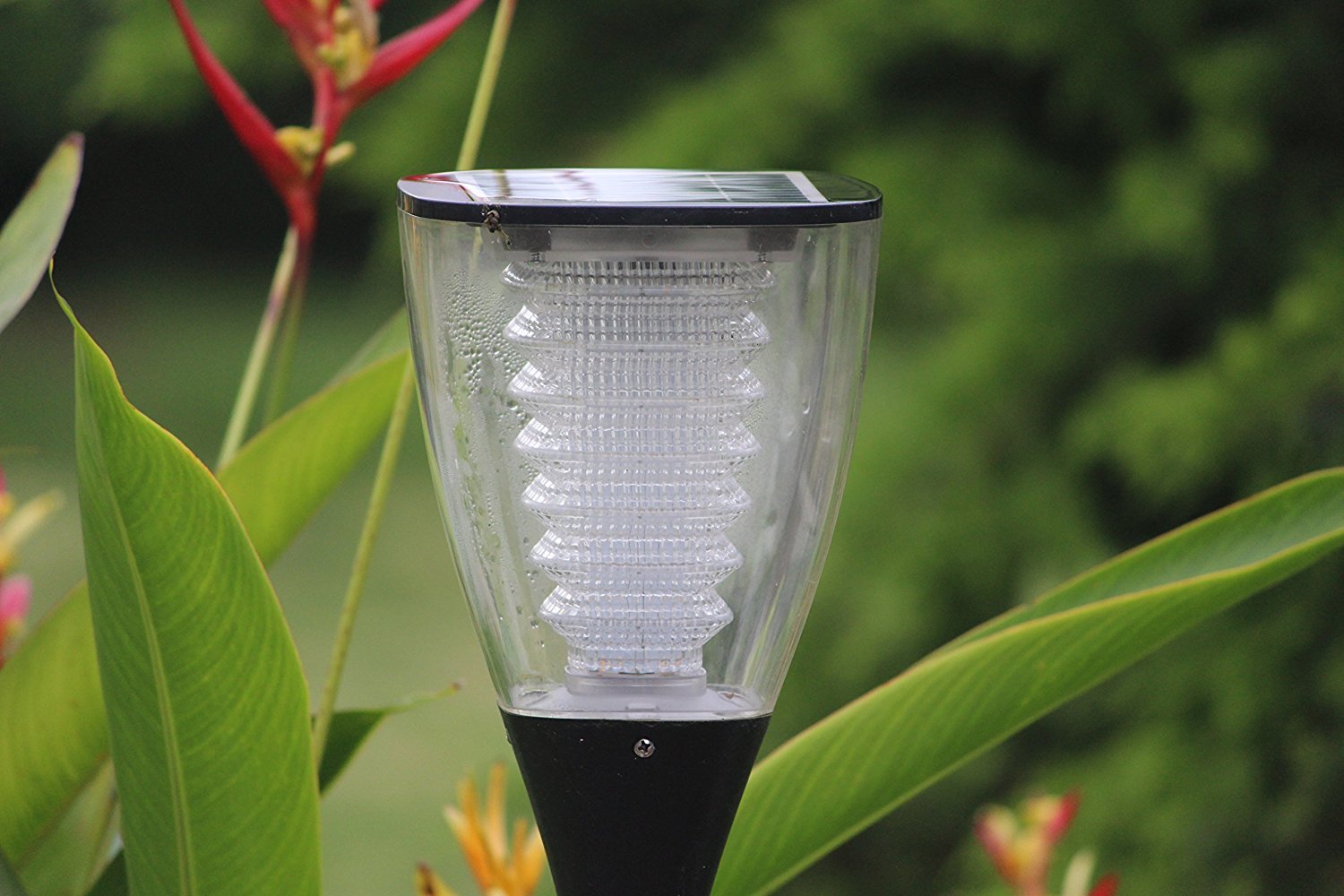 Solar Garden Light Warm White - TTSGLWW1W - tapetum.in